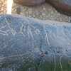 Image of siglum BES20 565