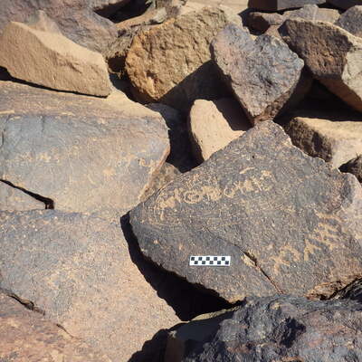 Image of siglum BES20 568