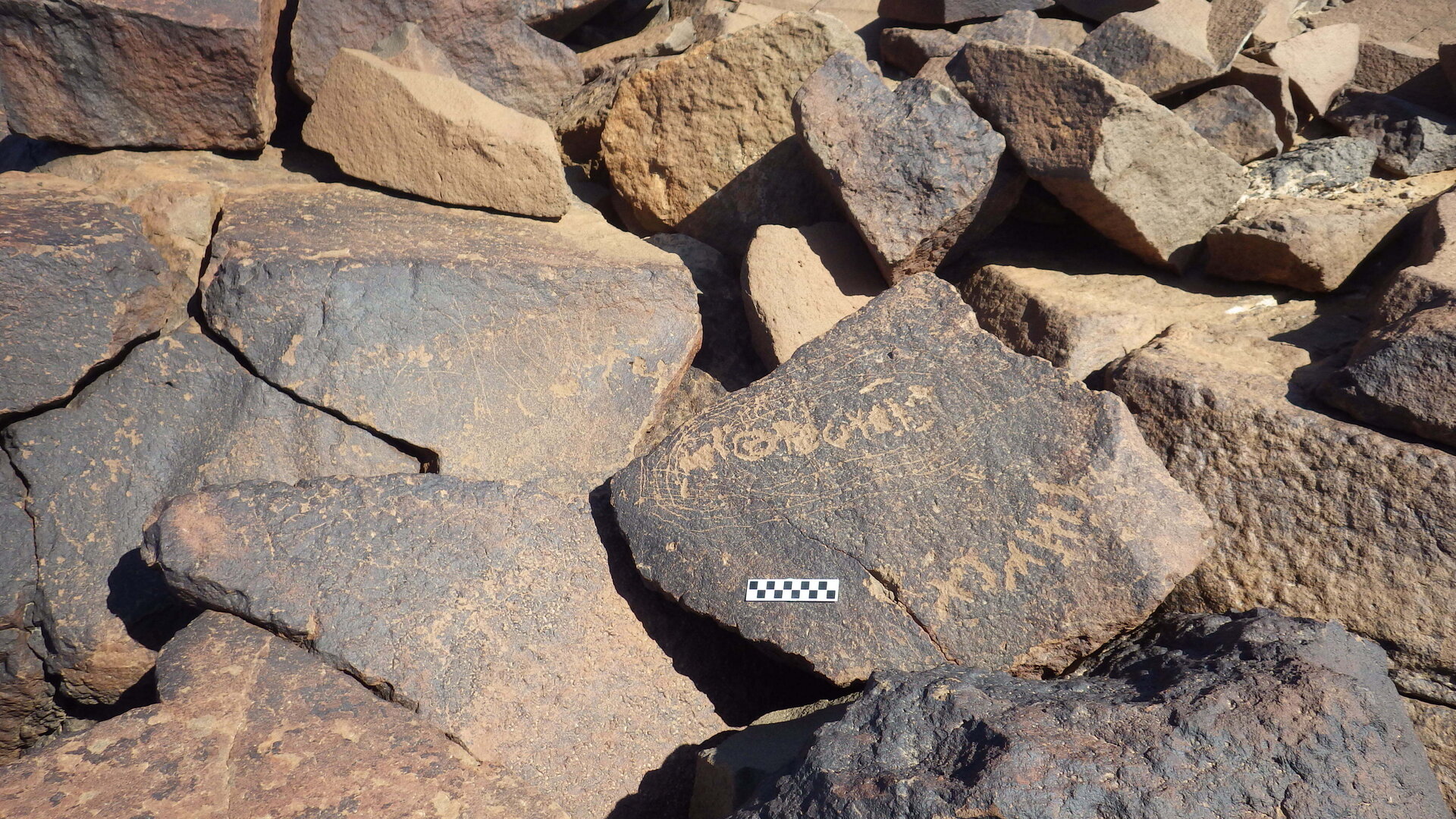 Image of siglum BES20 568