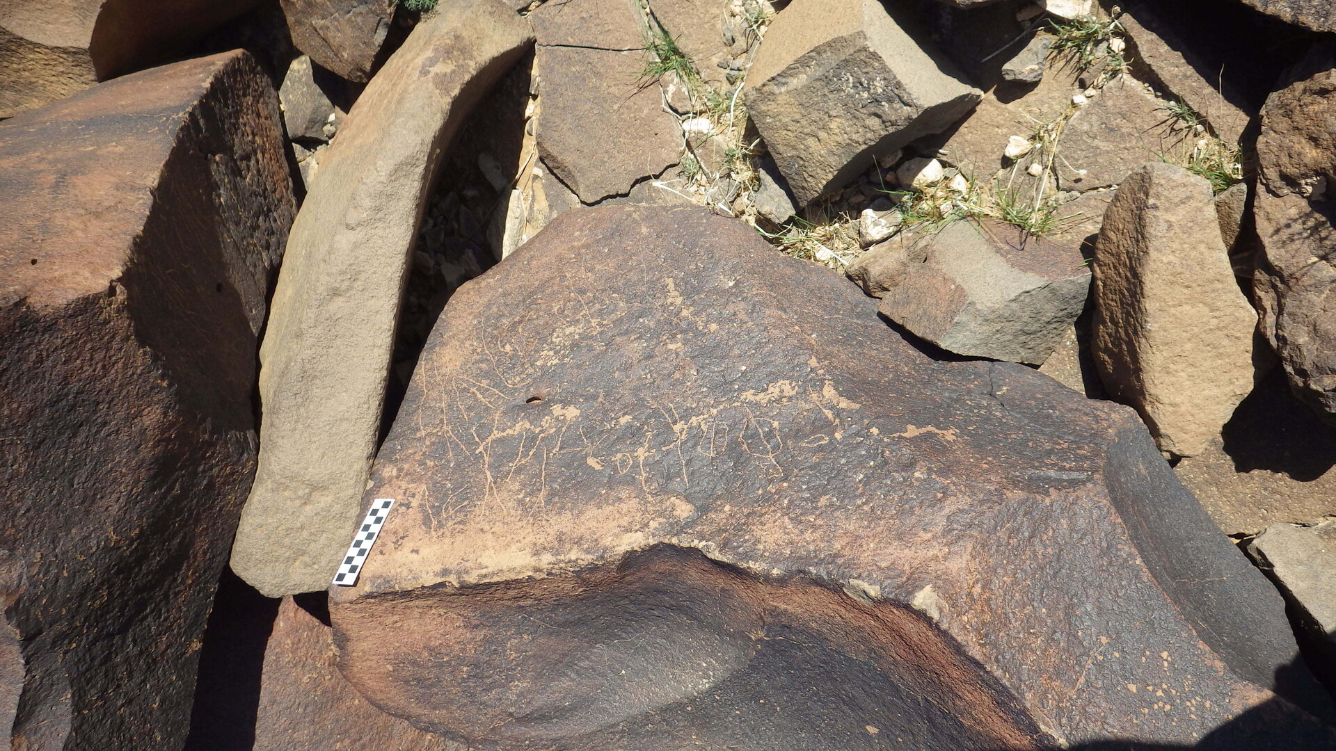Image of siglum BES20 570