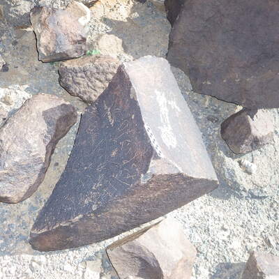 Image of siglum BES20 576
