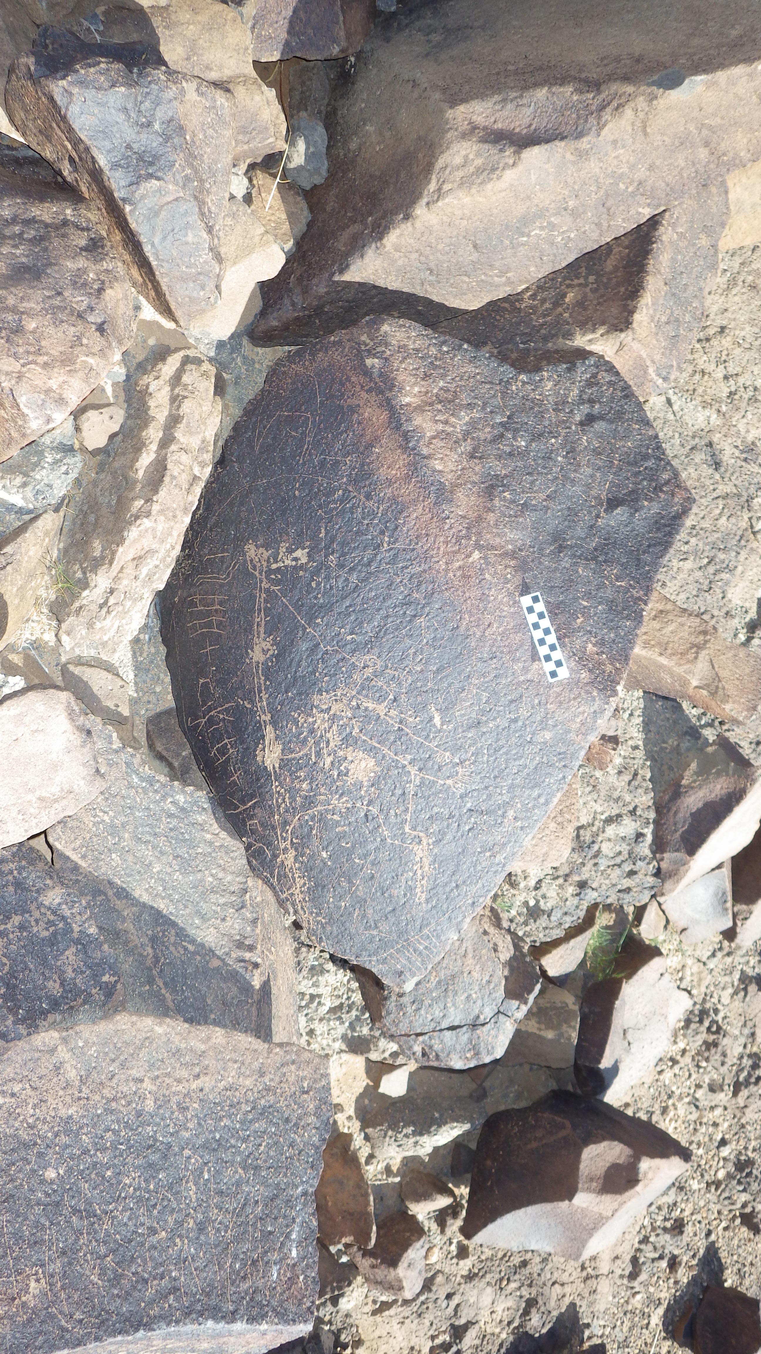 Image of siglum BES20 579