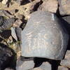 Image of siglum BES20 583