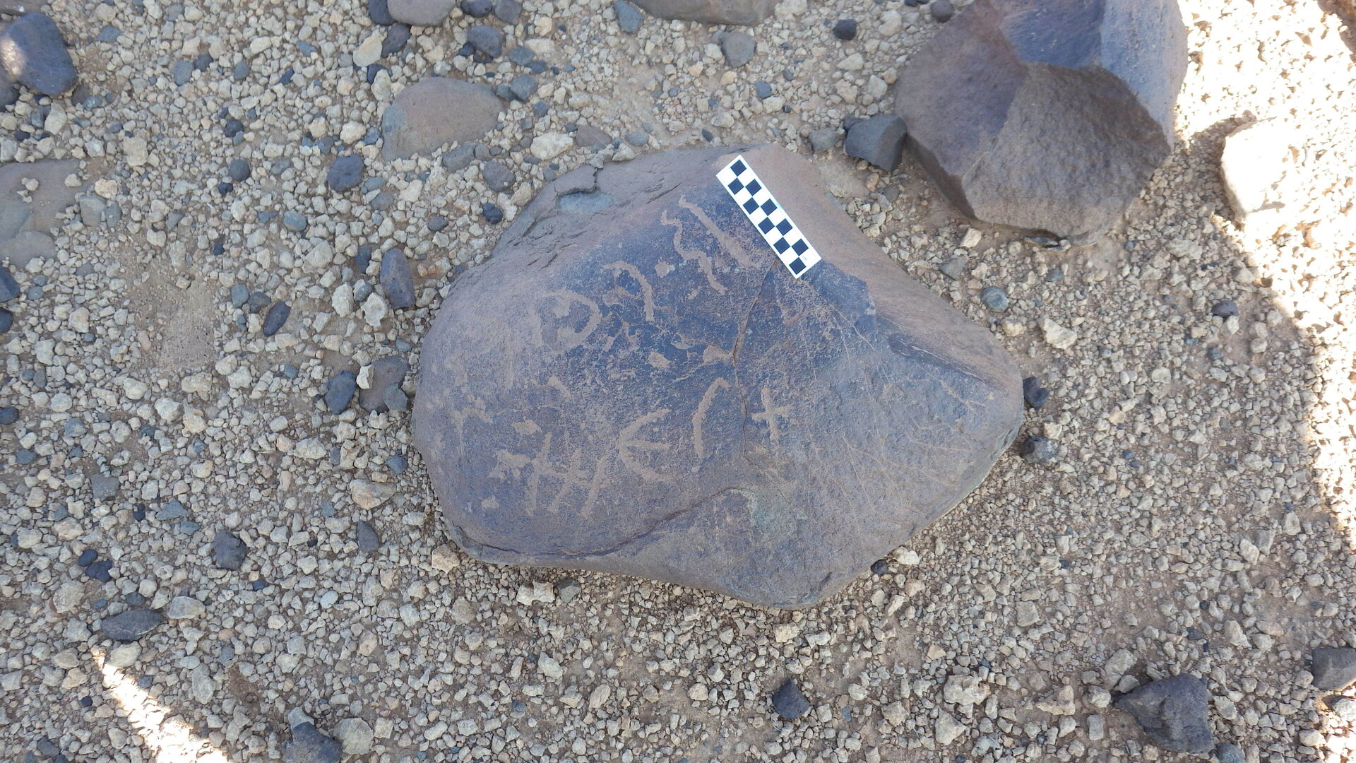 Image of siglum BES20 585