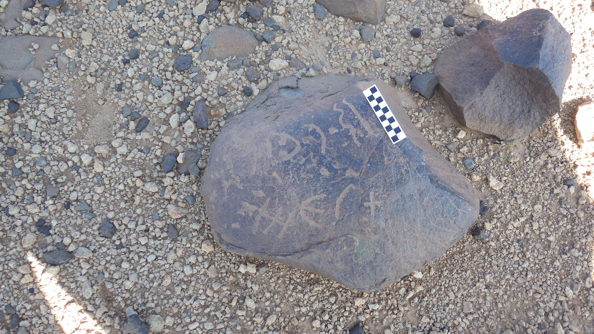 Image of siglum BES20 585