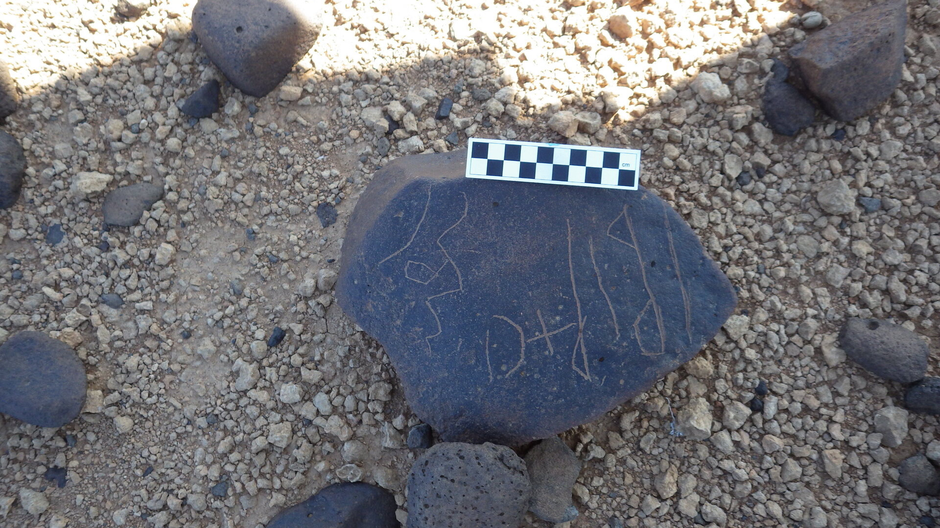 Image of siglum BES20 586