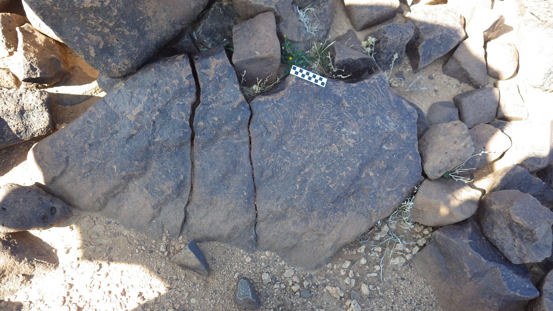 Image of siglum BES20 590