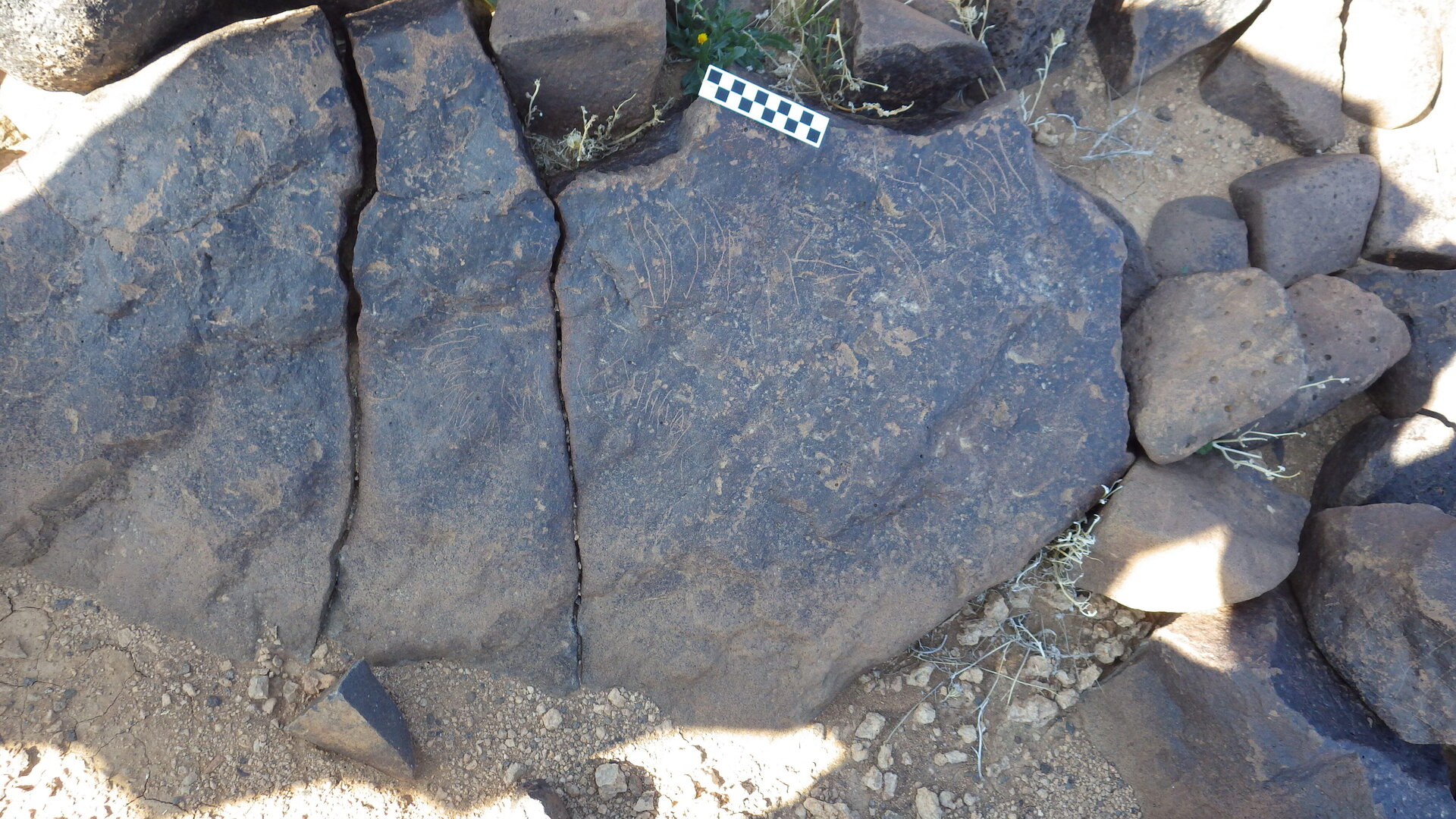 Image of siglum BES20 590
