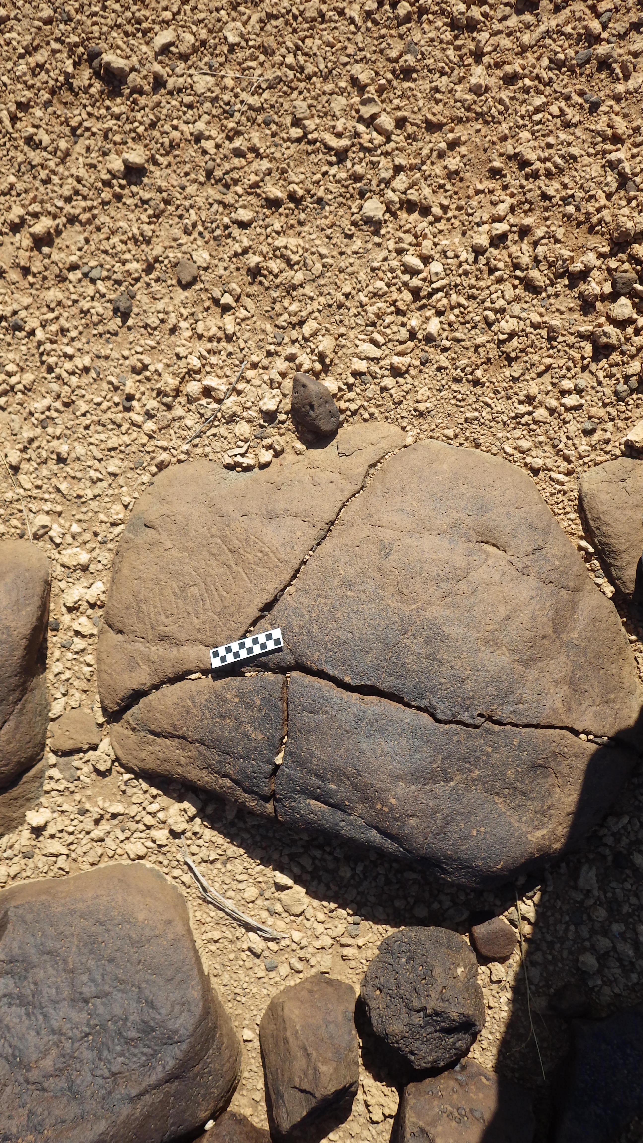 Image of siglum BES20 593