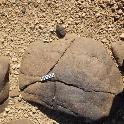 Image of siglum BES20 593