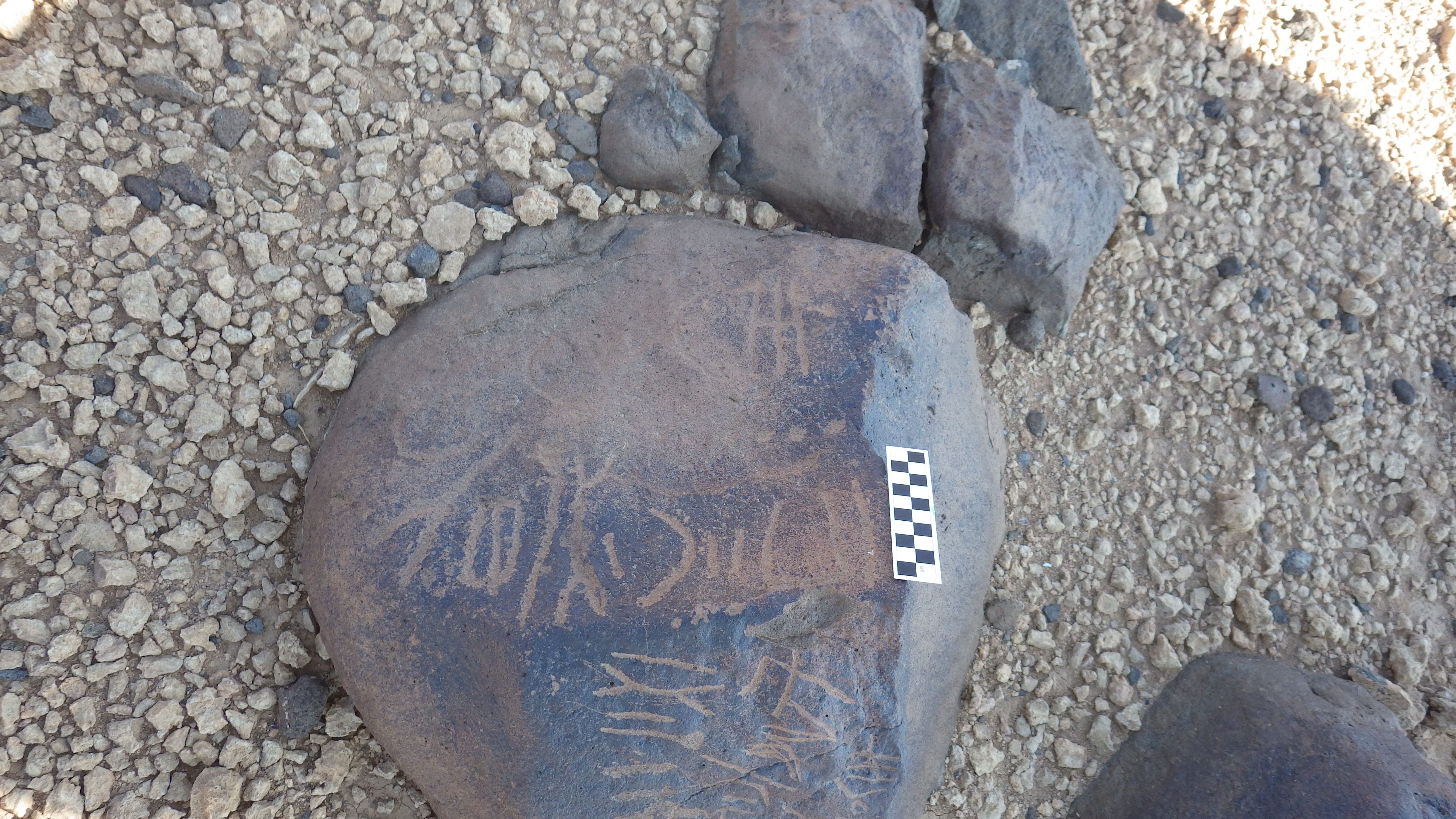 Image of siglum BES20 594