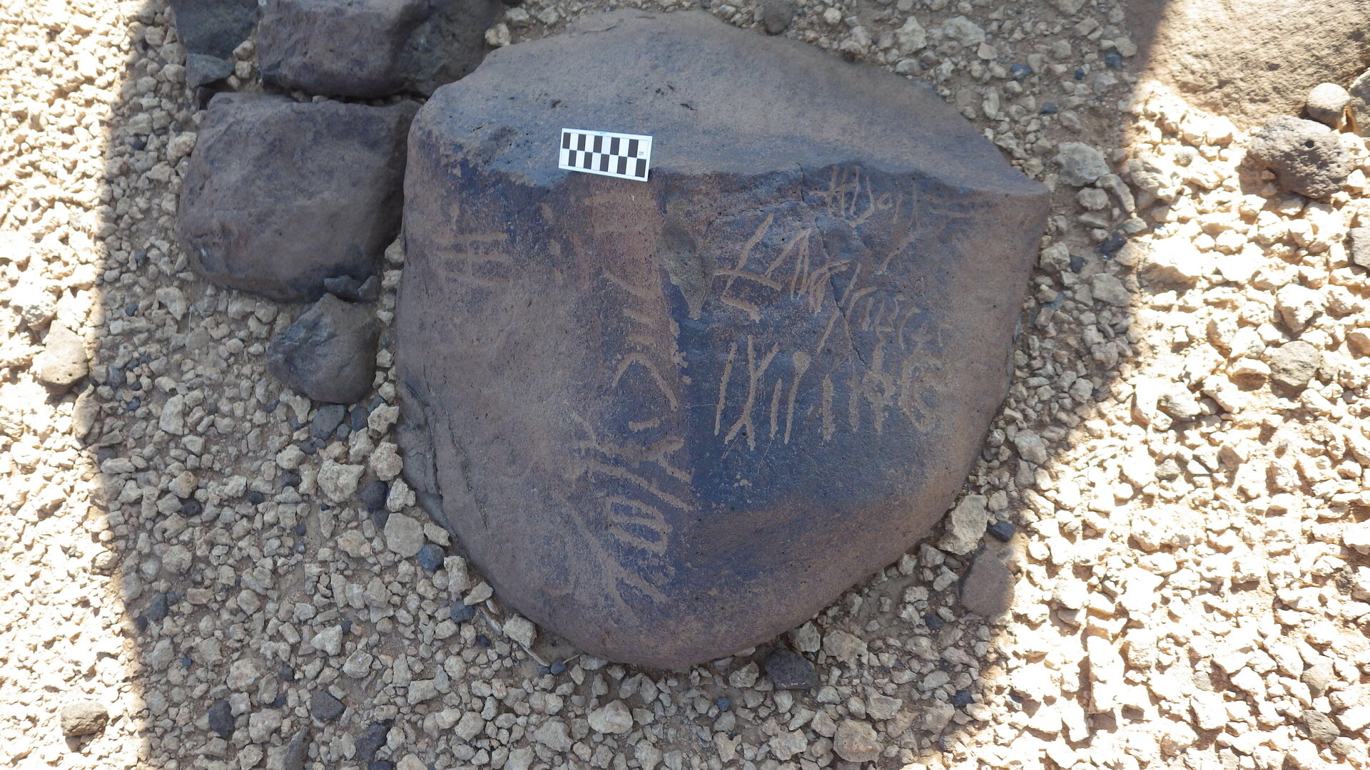 Image of siglum BES20 594