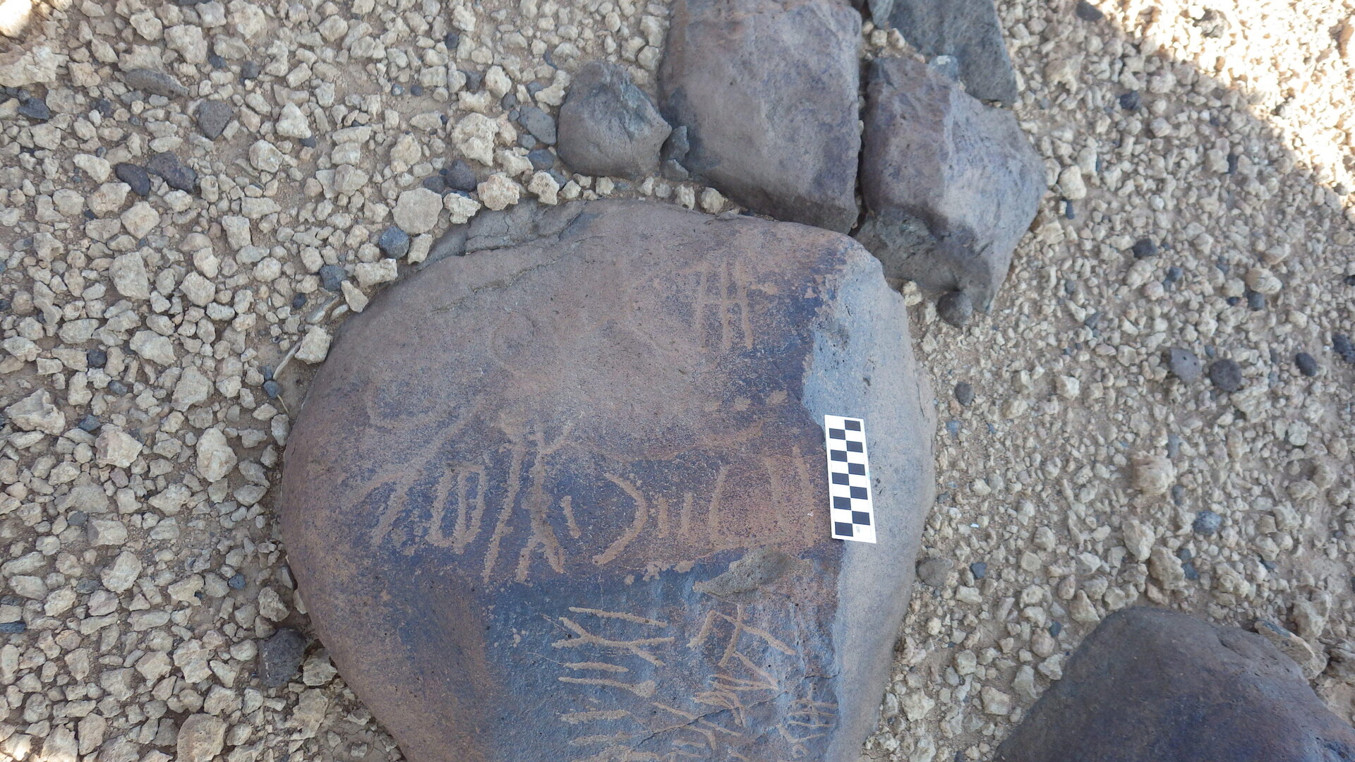 Image of siglum BES20 595