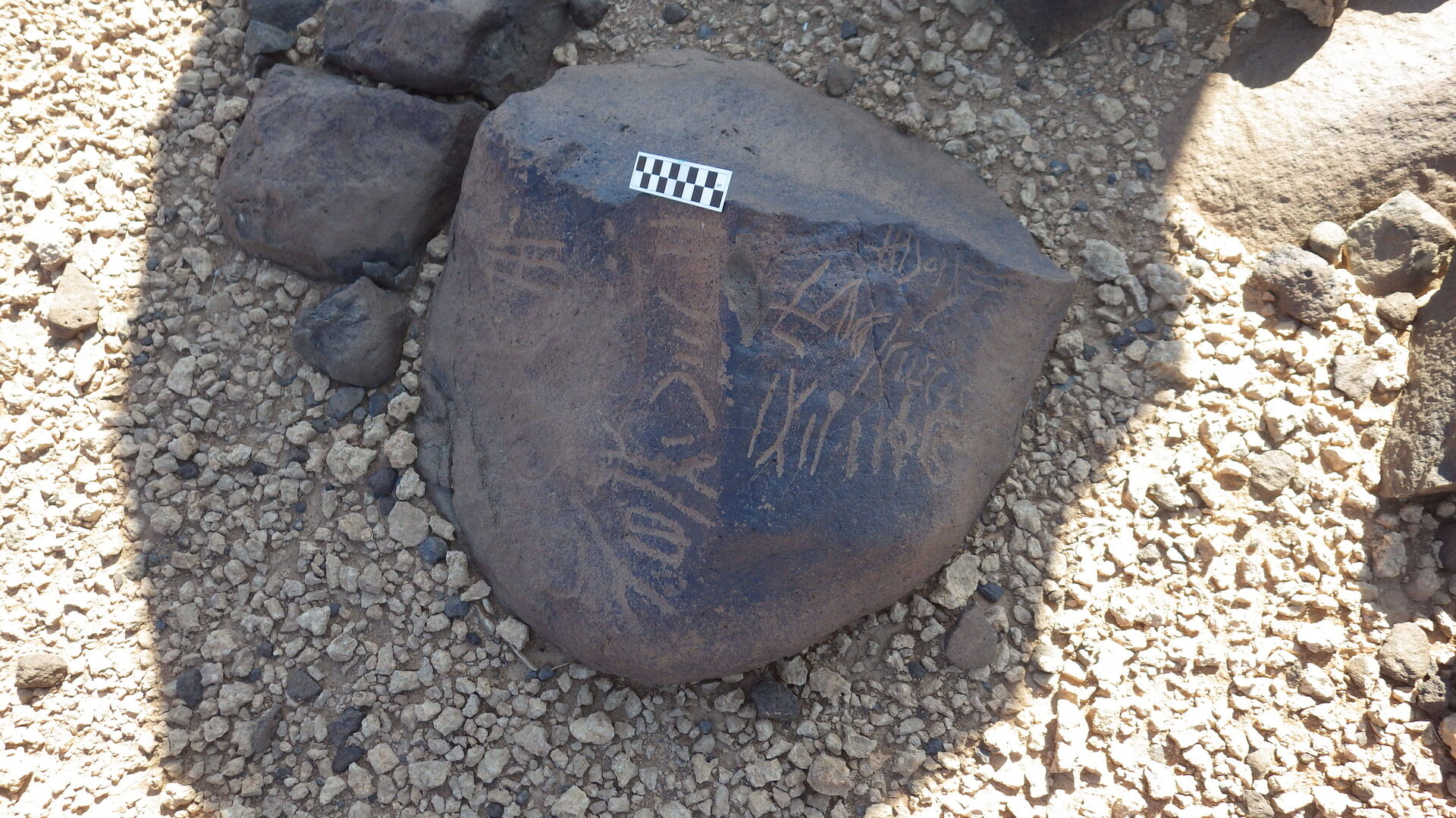 Image of siglum BES20 595