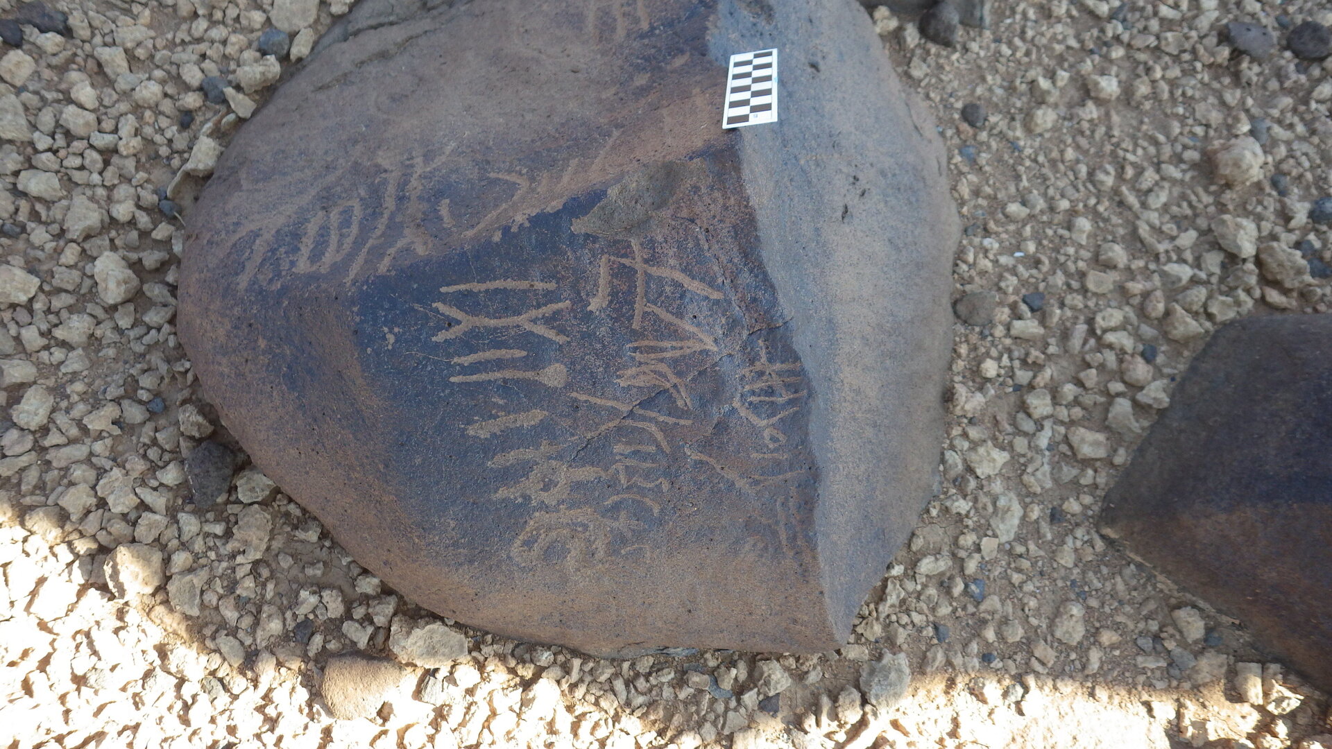 Image of siglum BES20 596
