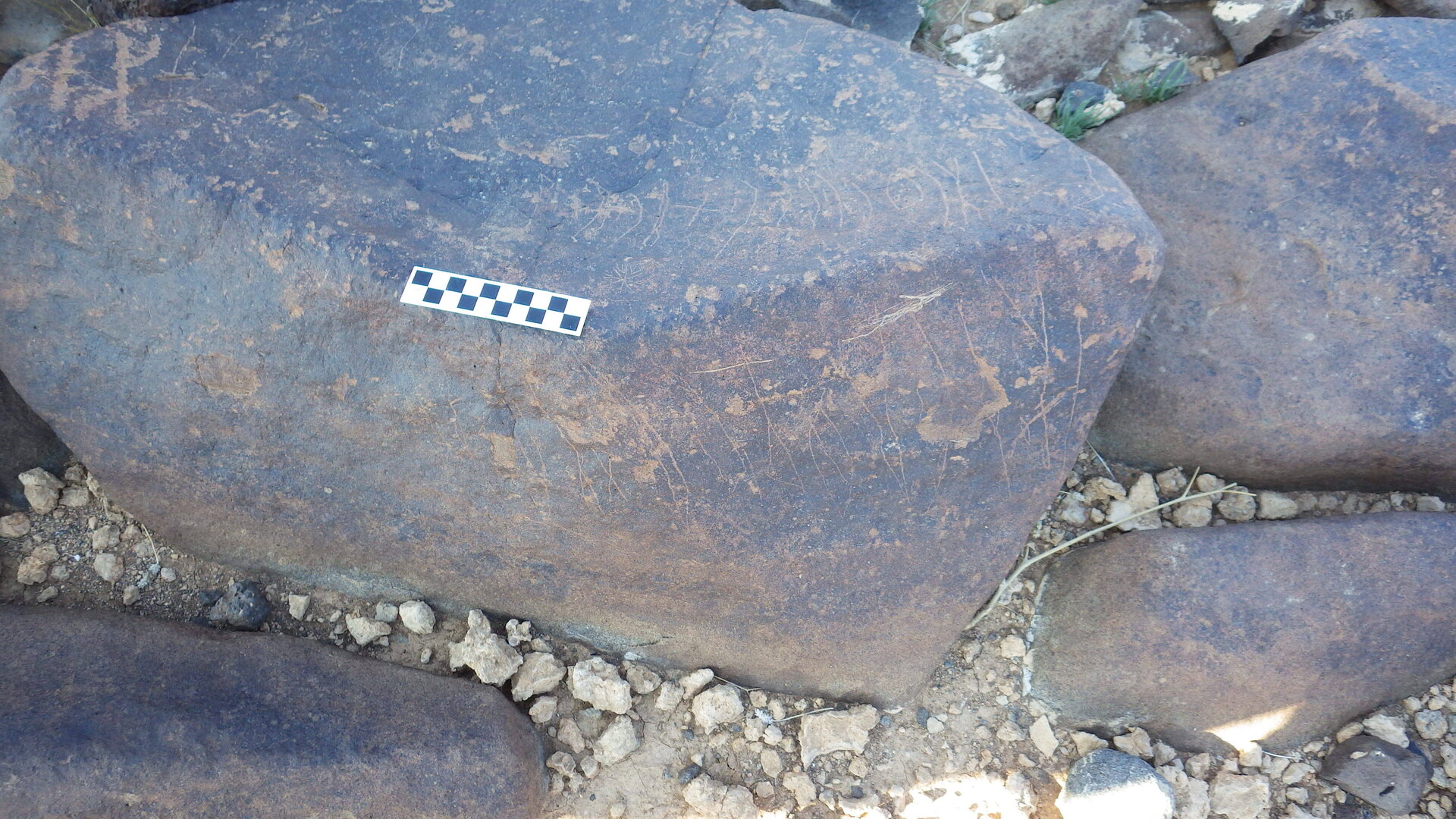 Image of siglum BES20 597