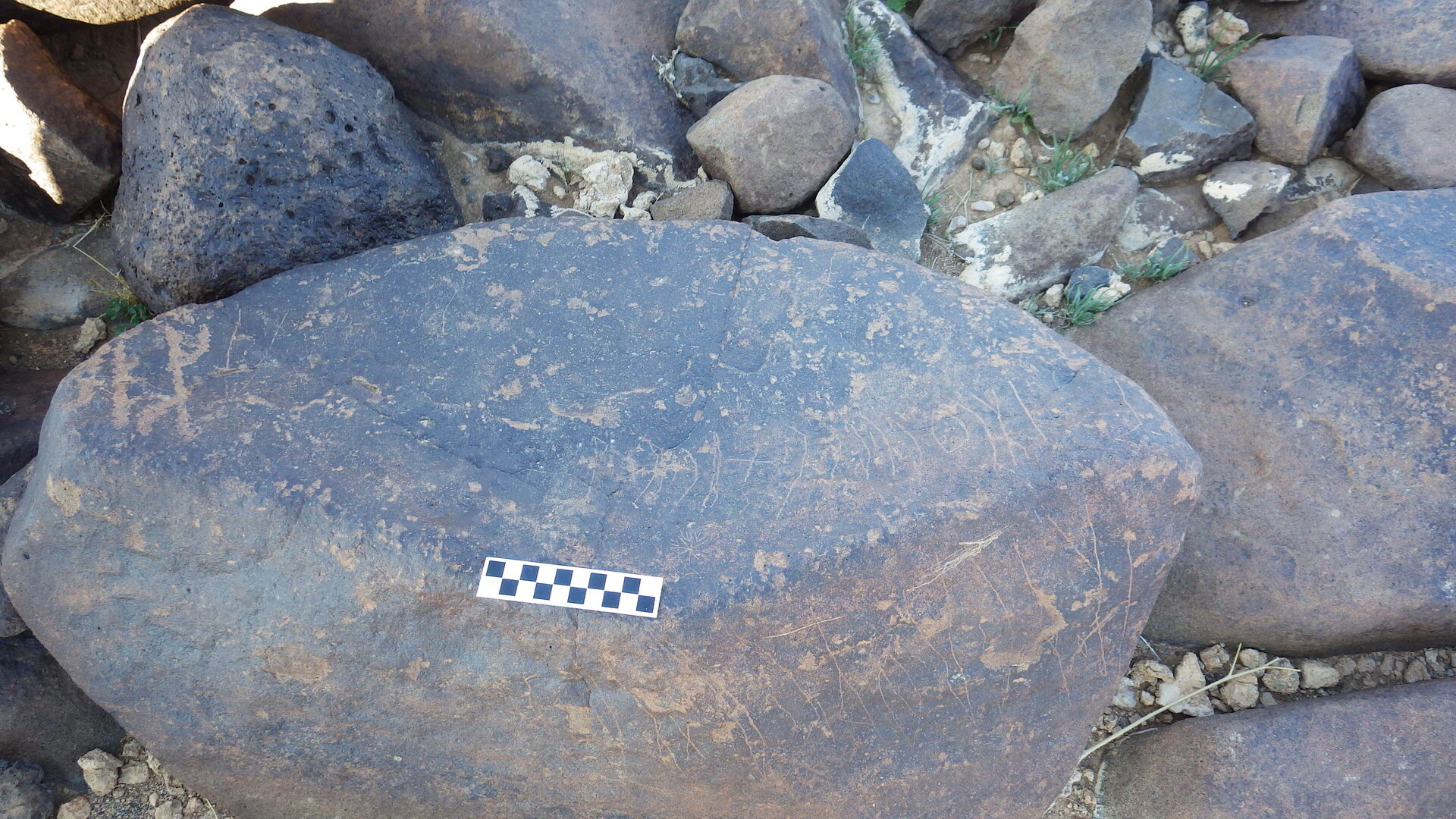 Image of siglum BES20 597