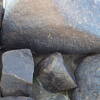 Image of siglum BES20 600