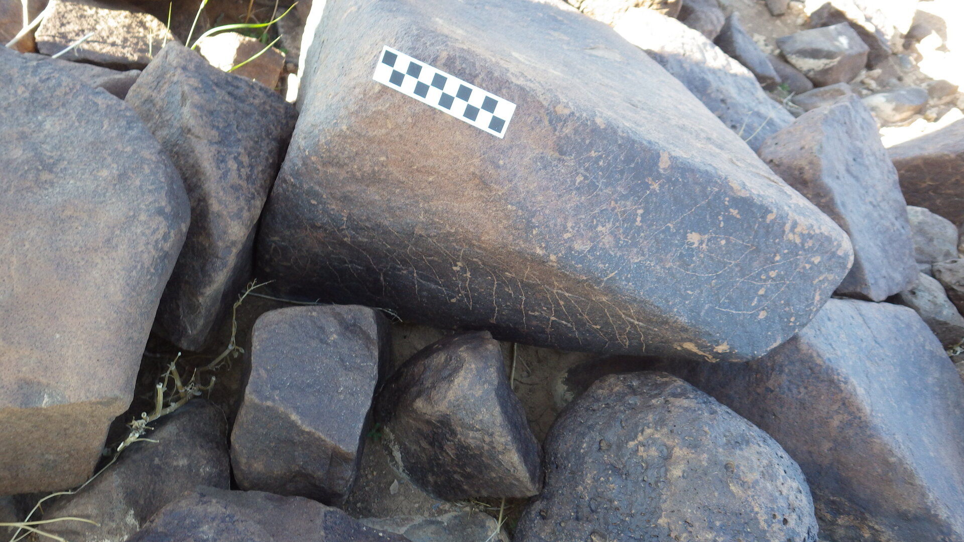Image of siglum BES20 601
