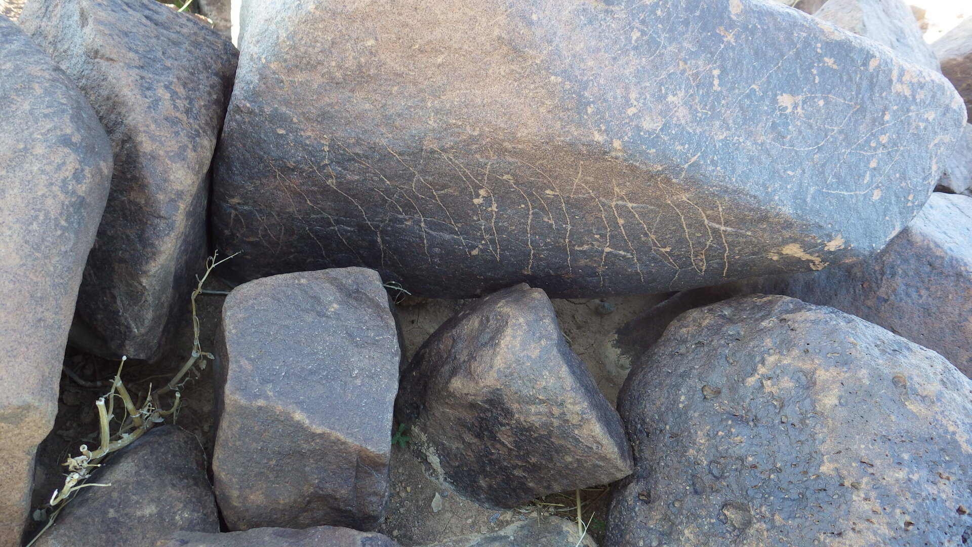 Image of siglum BES20 601