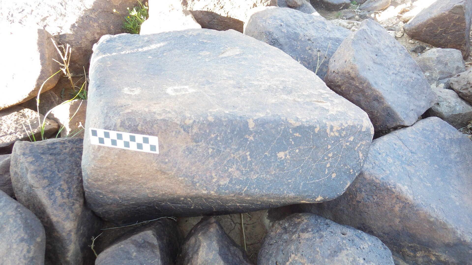 Image of siglum BES20 601