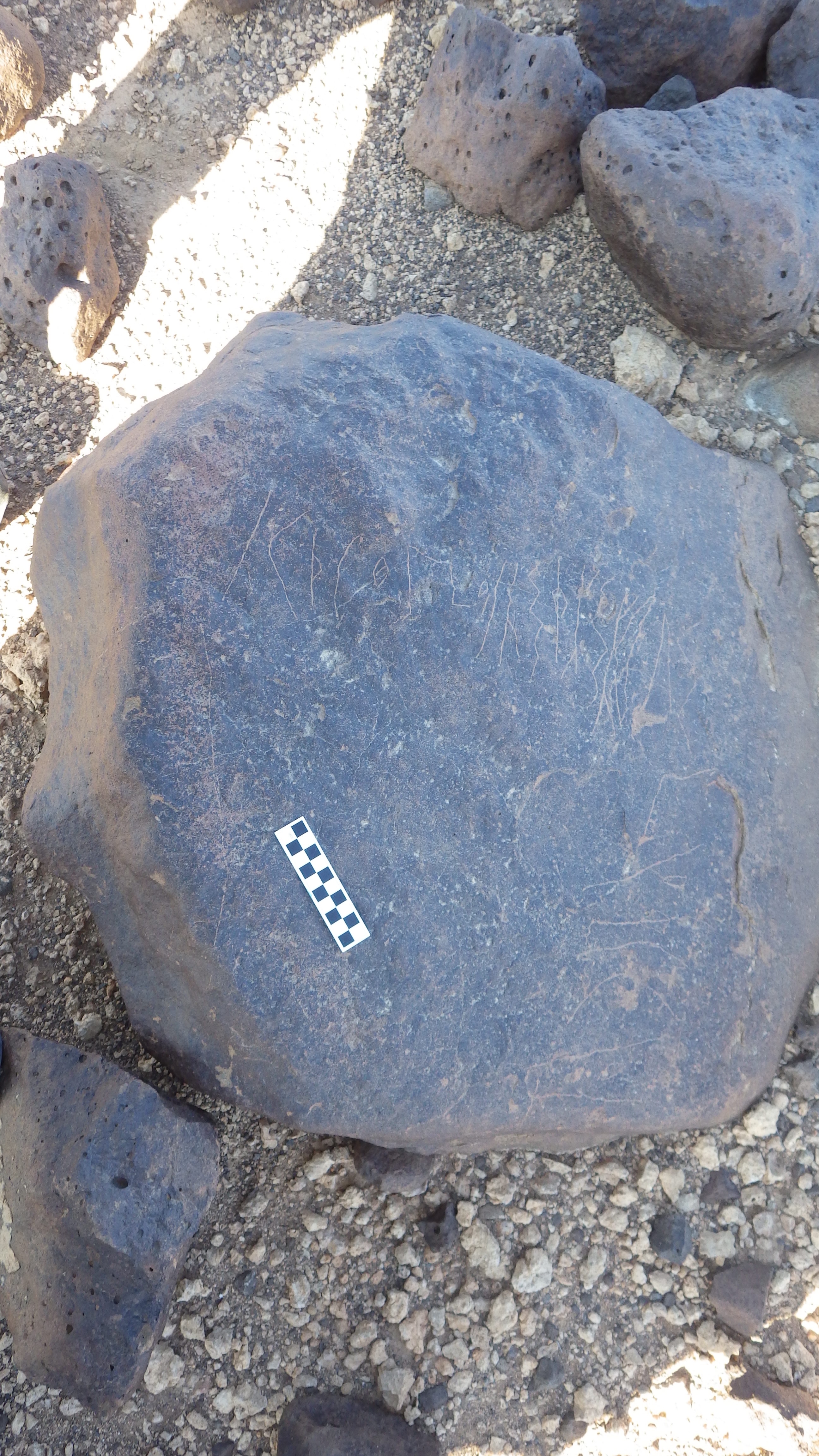 Image of siglum BES20 602