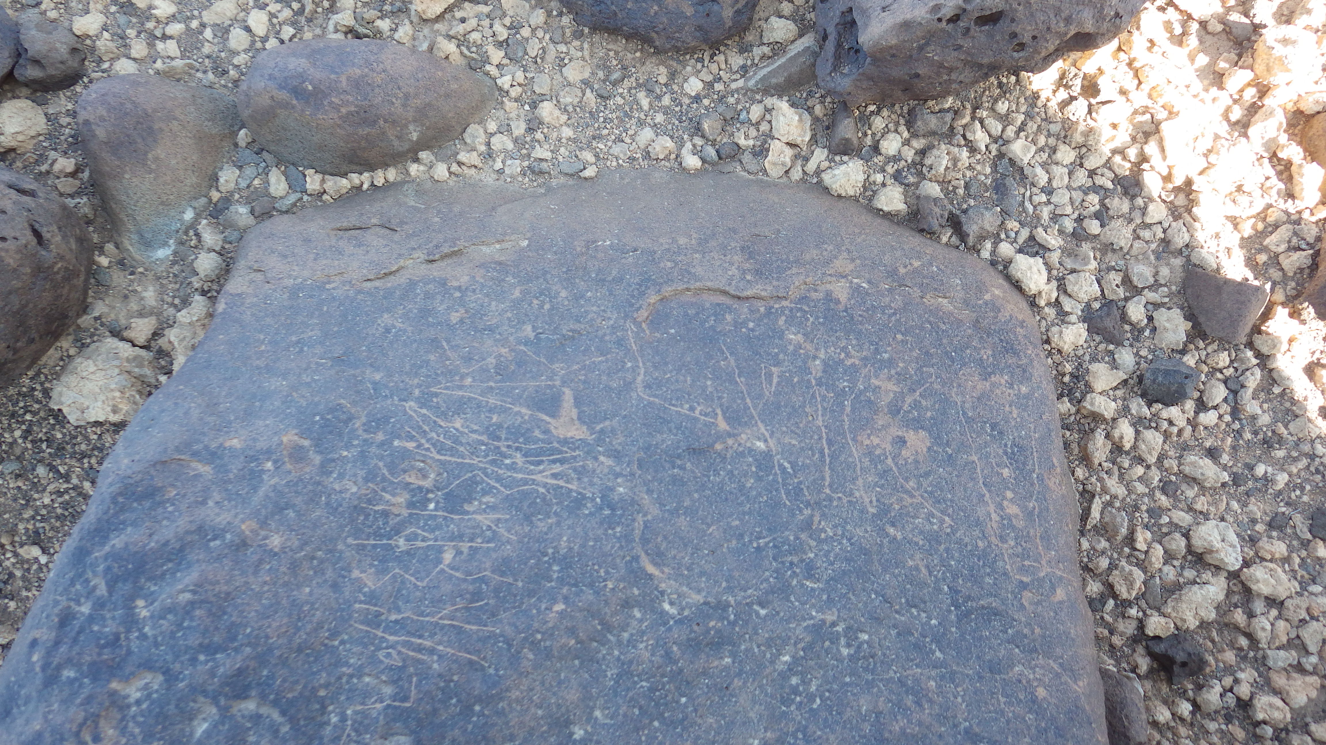 Image of siglum BES20 602