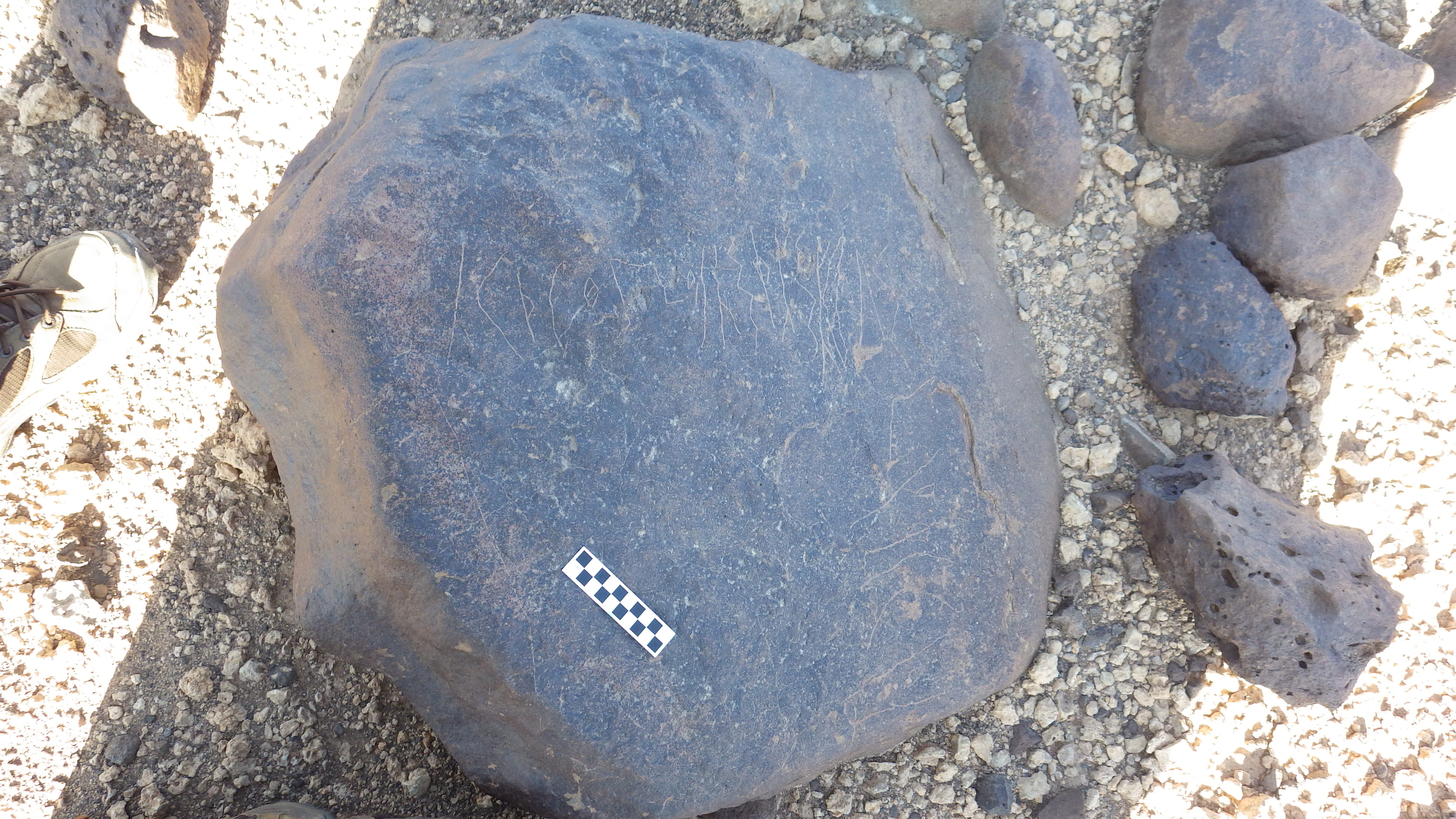 Image of siglum BES20 602