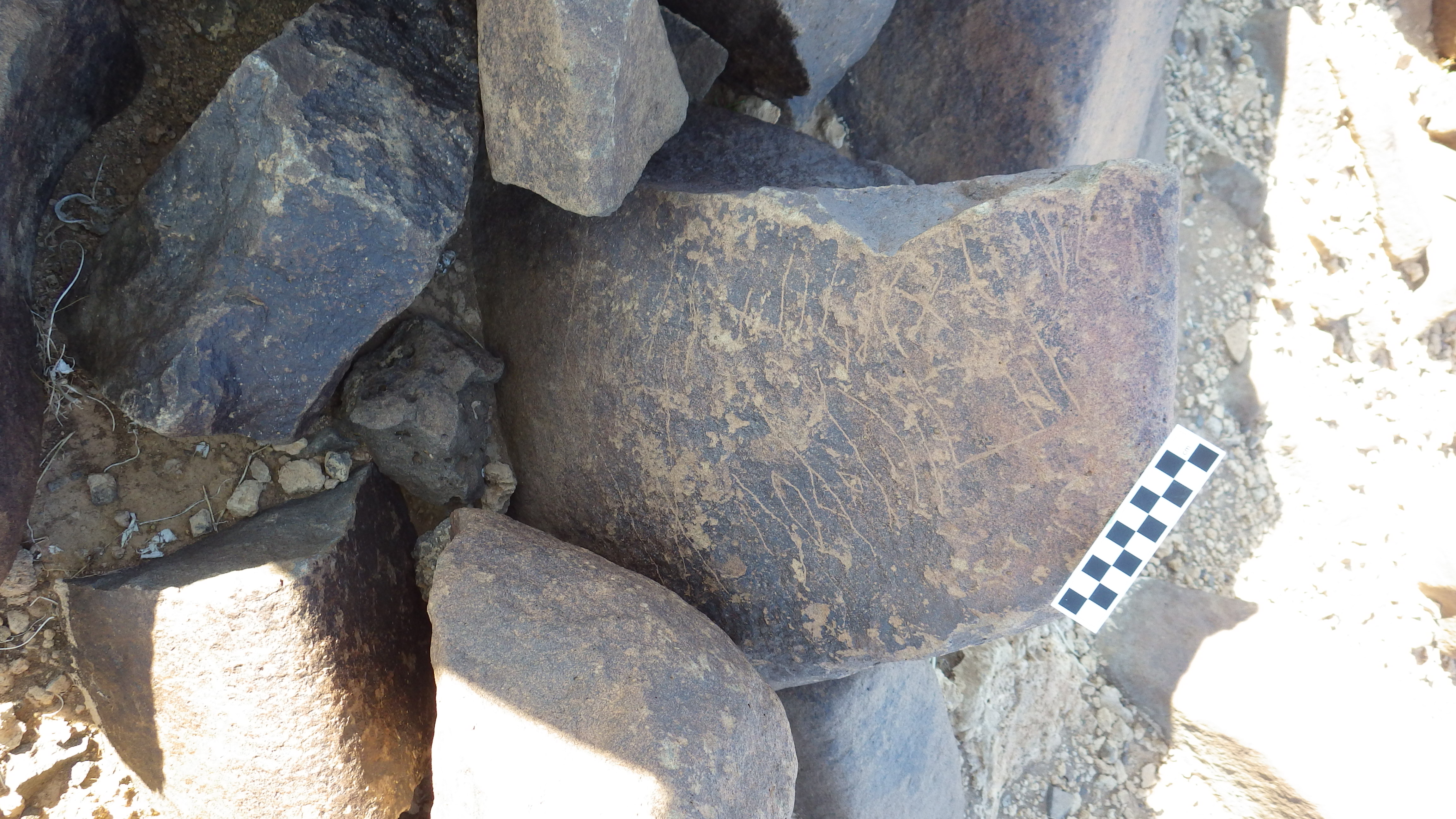 Image of siglum BES20 604