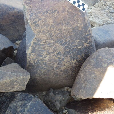 Image of siglum BES20 604