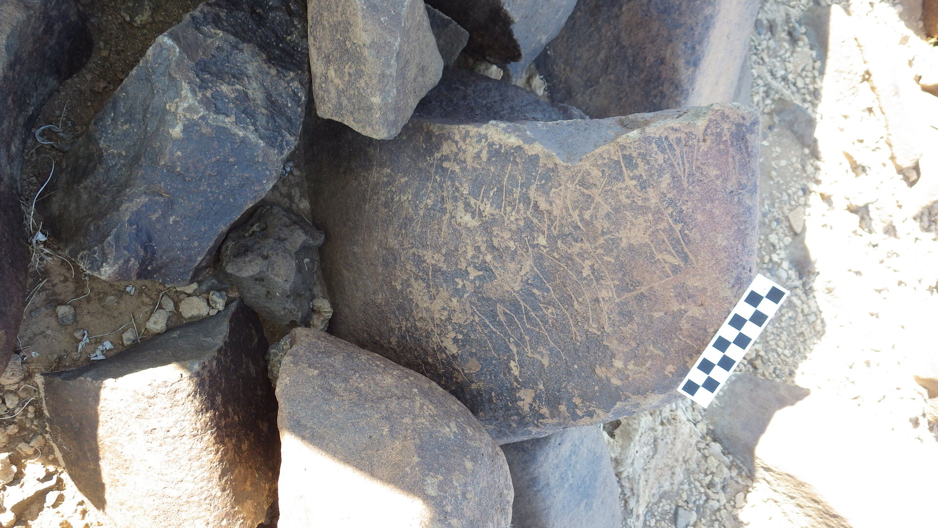 Image of siglum BES20 604