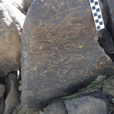 Image of siglum BES20 605