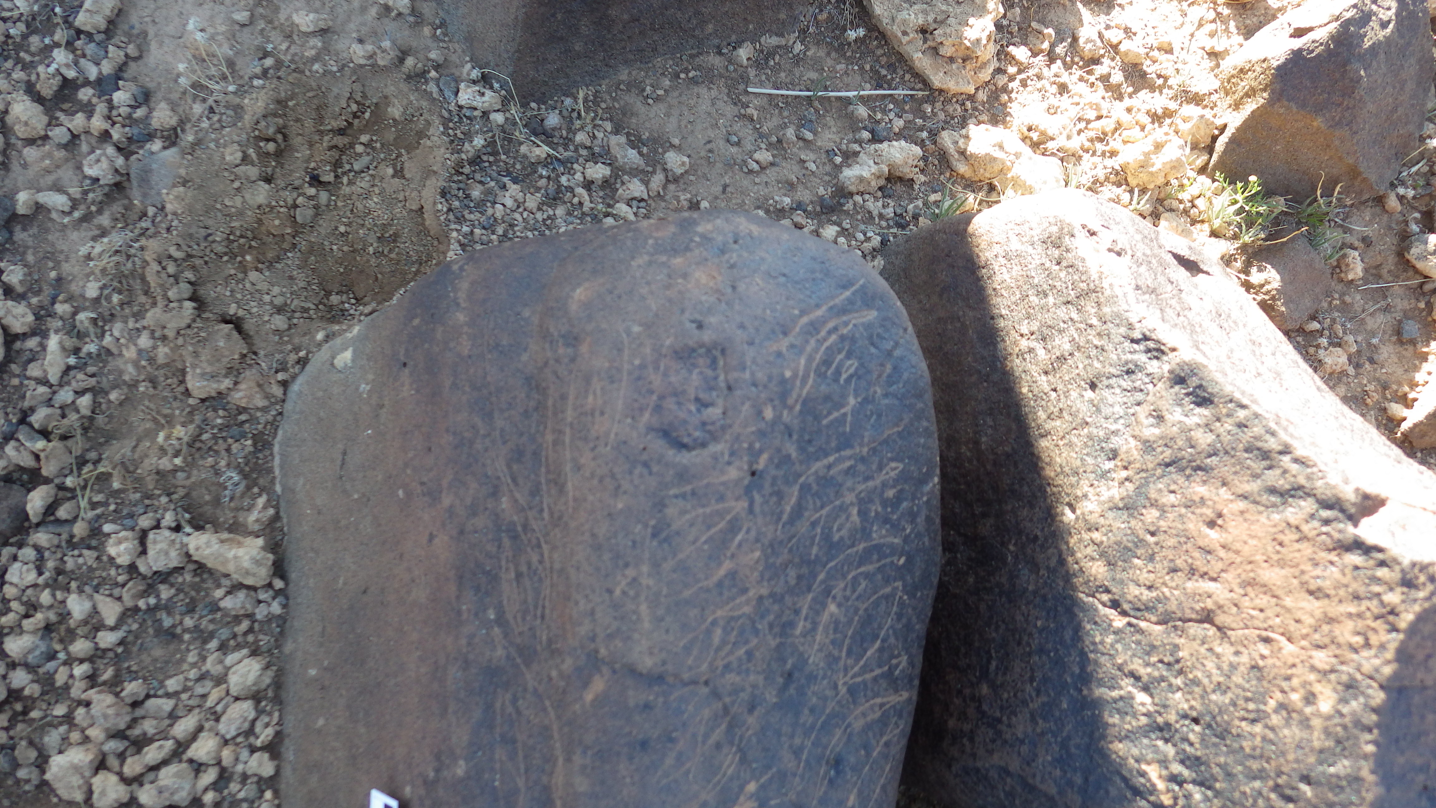 Image of siglum BES20 614