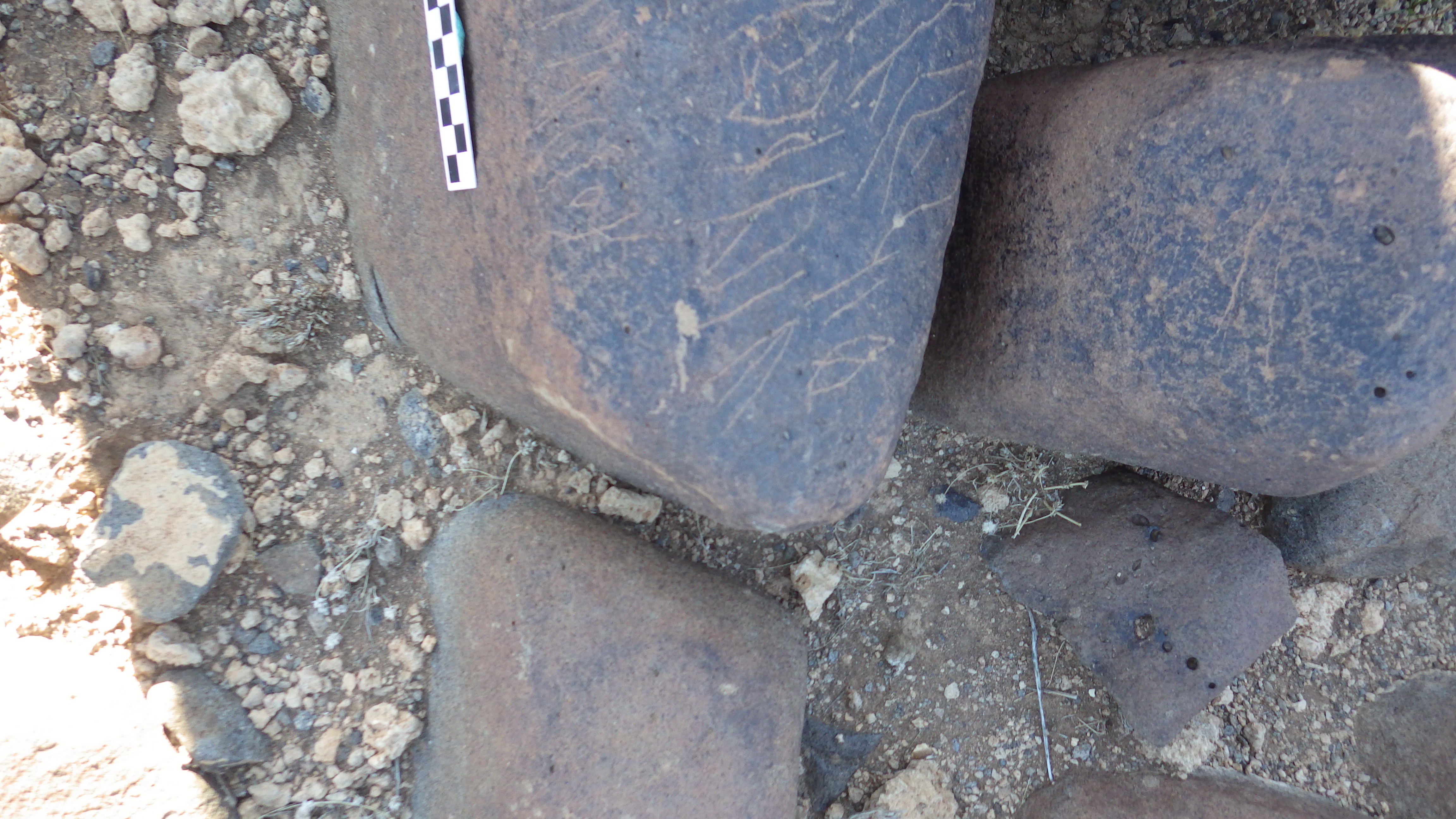 Image of siglum BES20 614