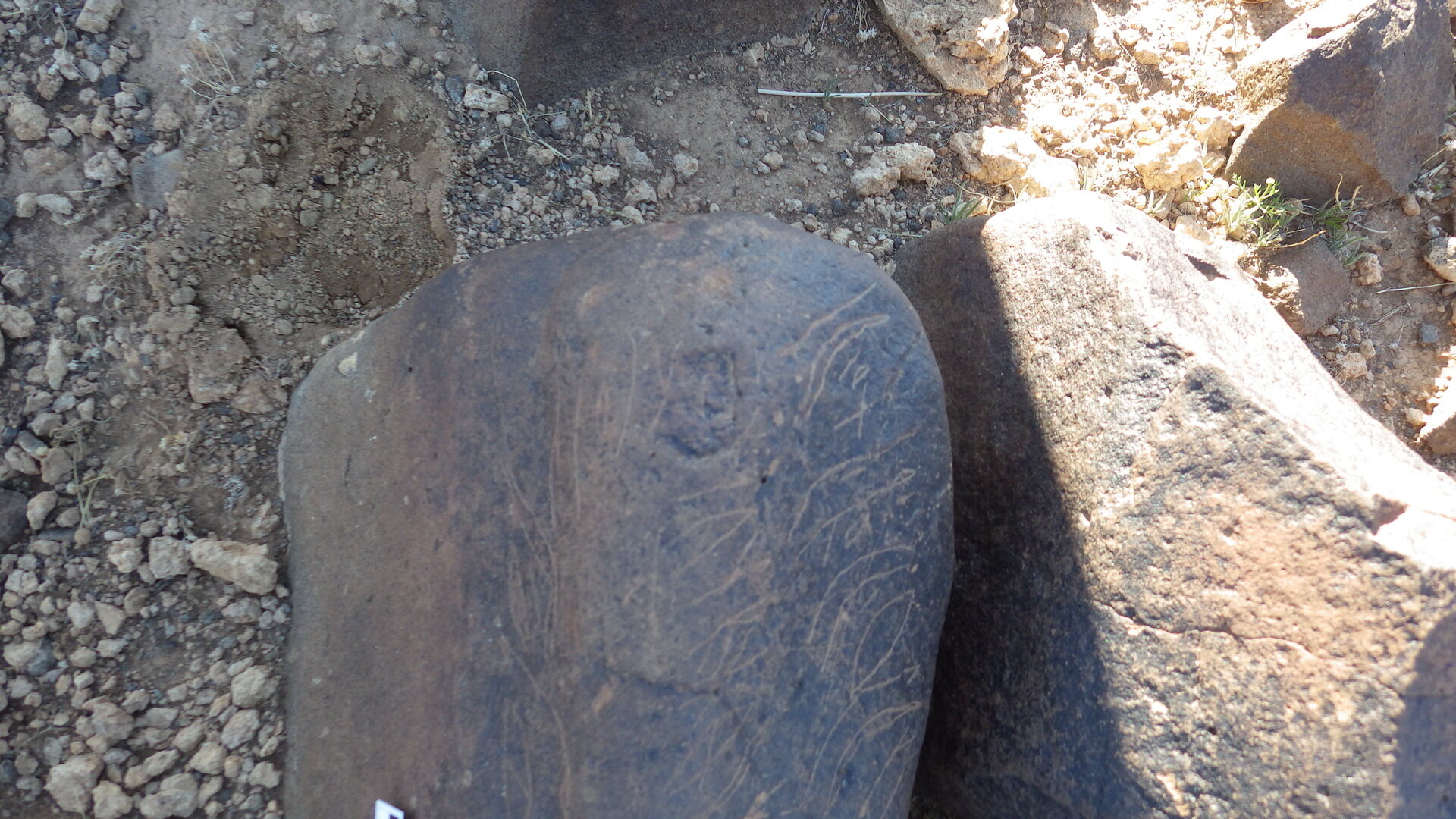 Image of siglum BES20 614