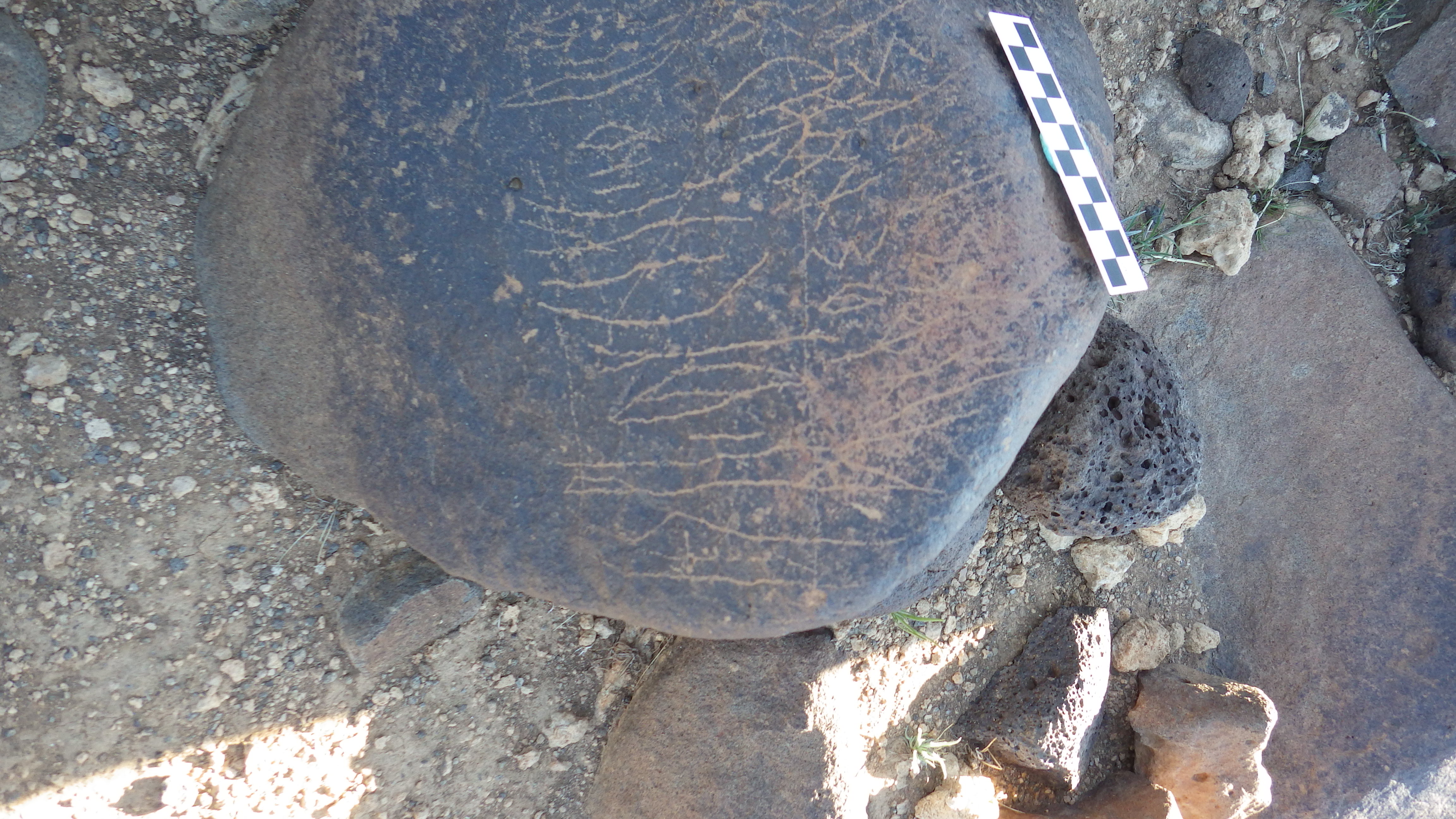 Image of siglum BES20 615