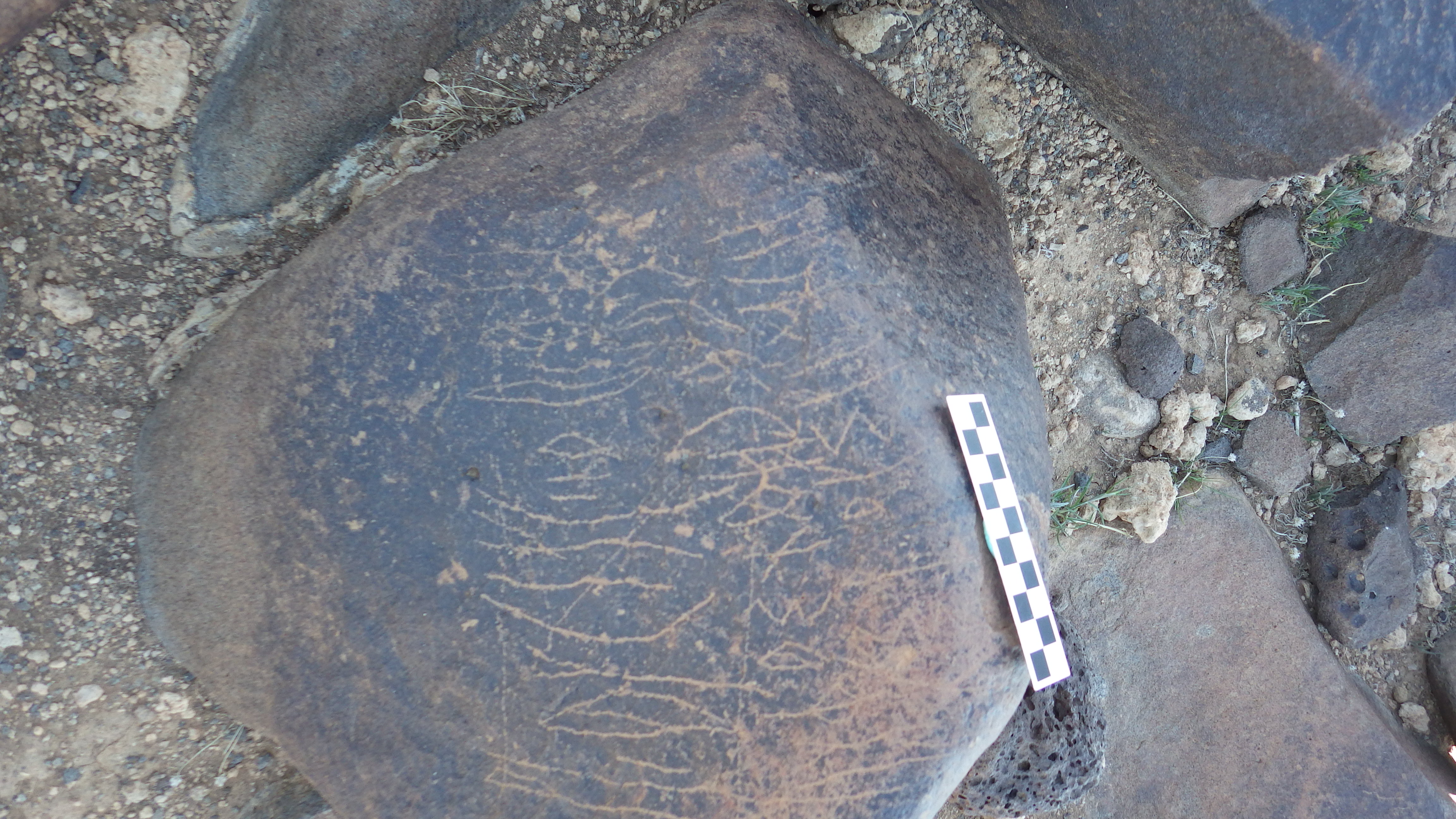 Image of siglum BES20 615