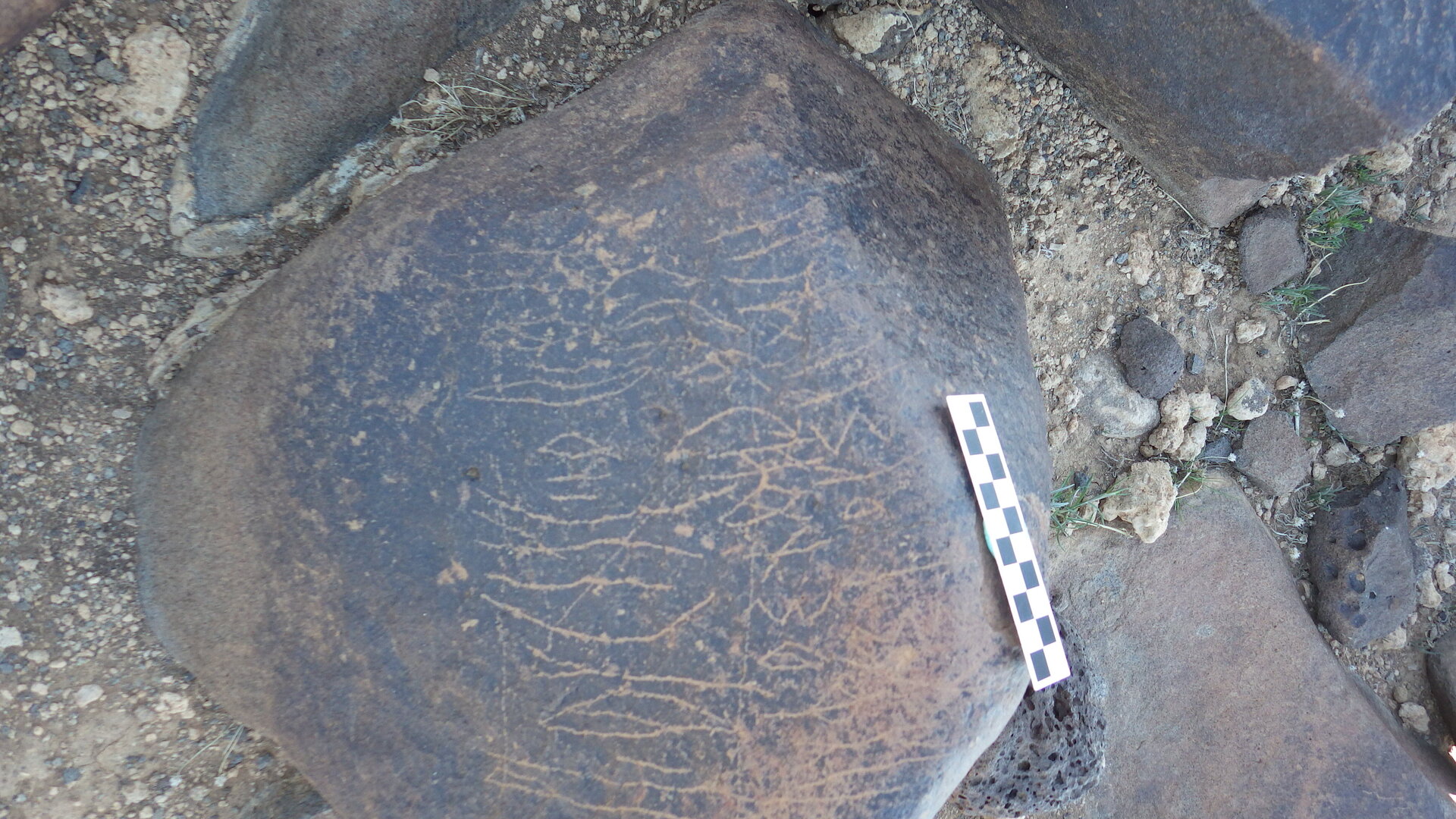 Image of siglum BES20 615