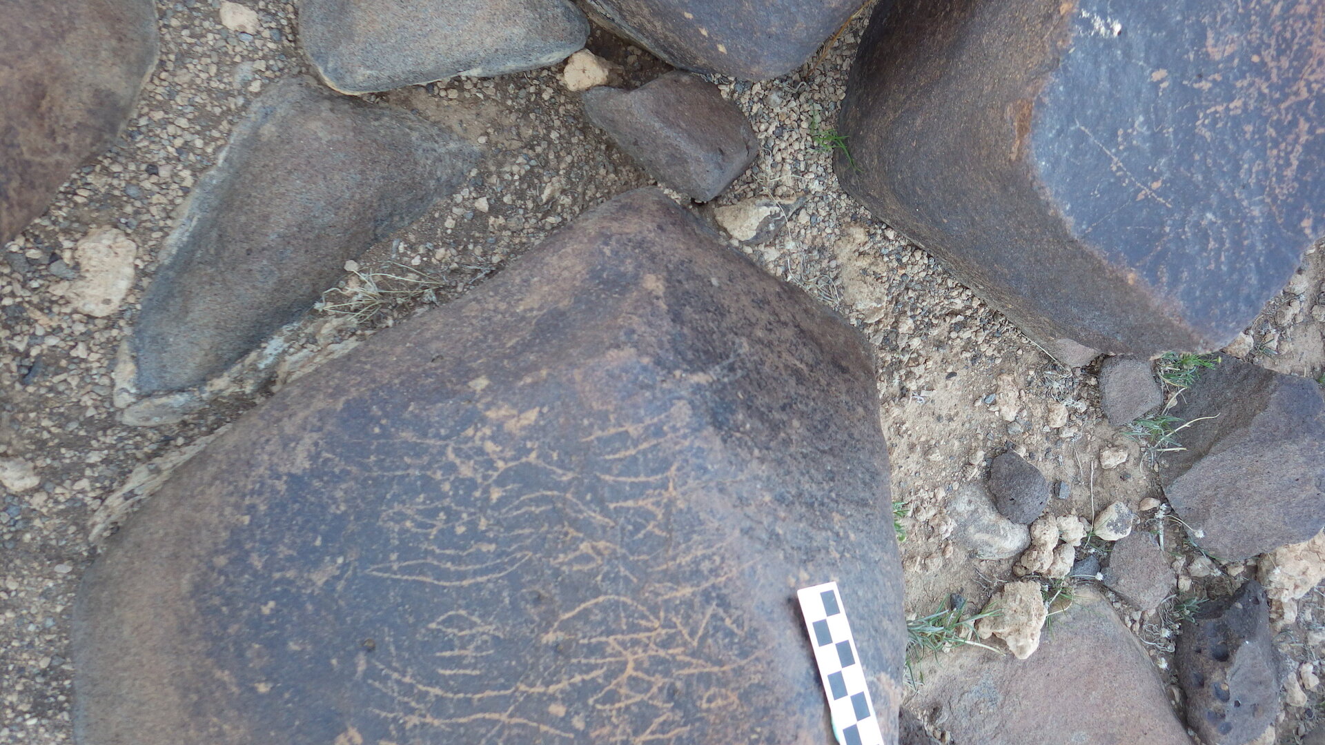 Image of siglum BES20 615
