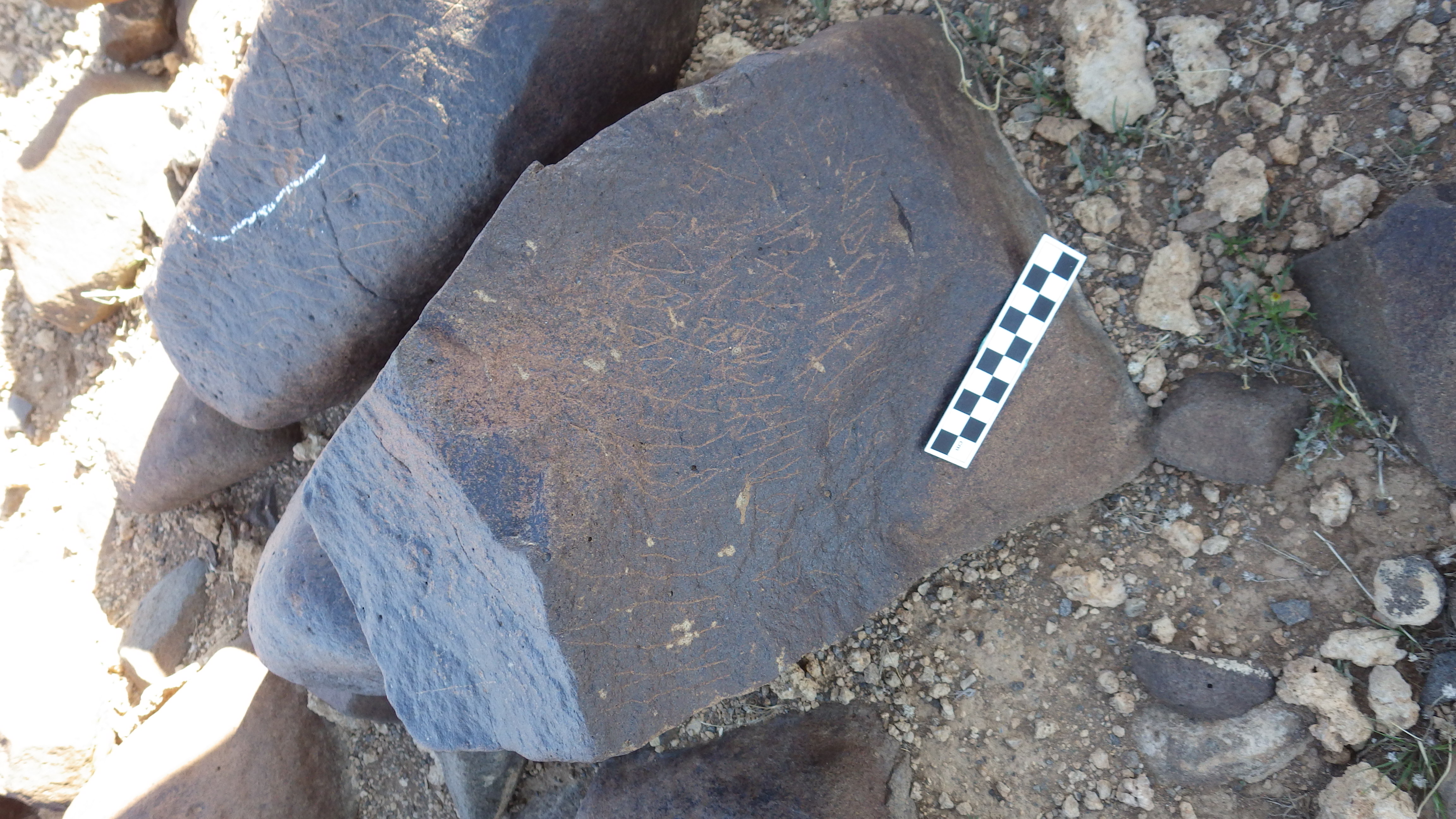 Image of siglum BES20 616