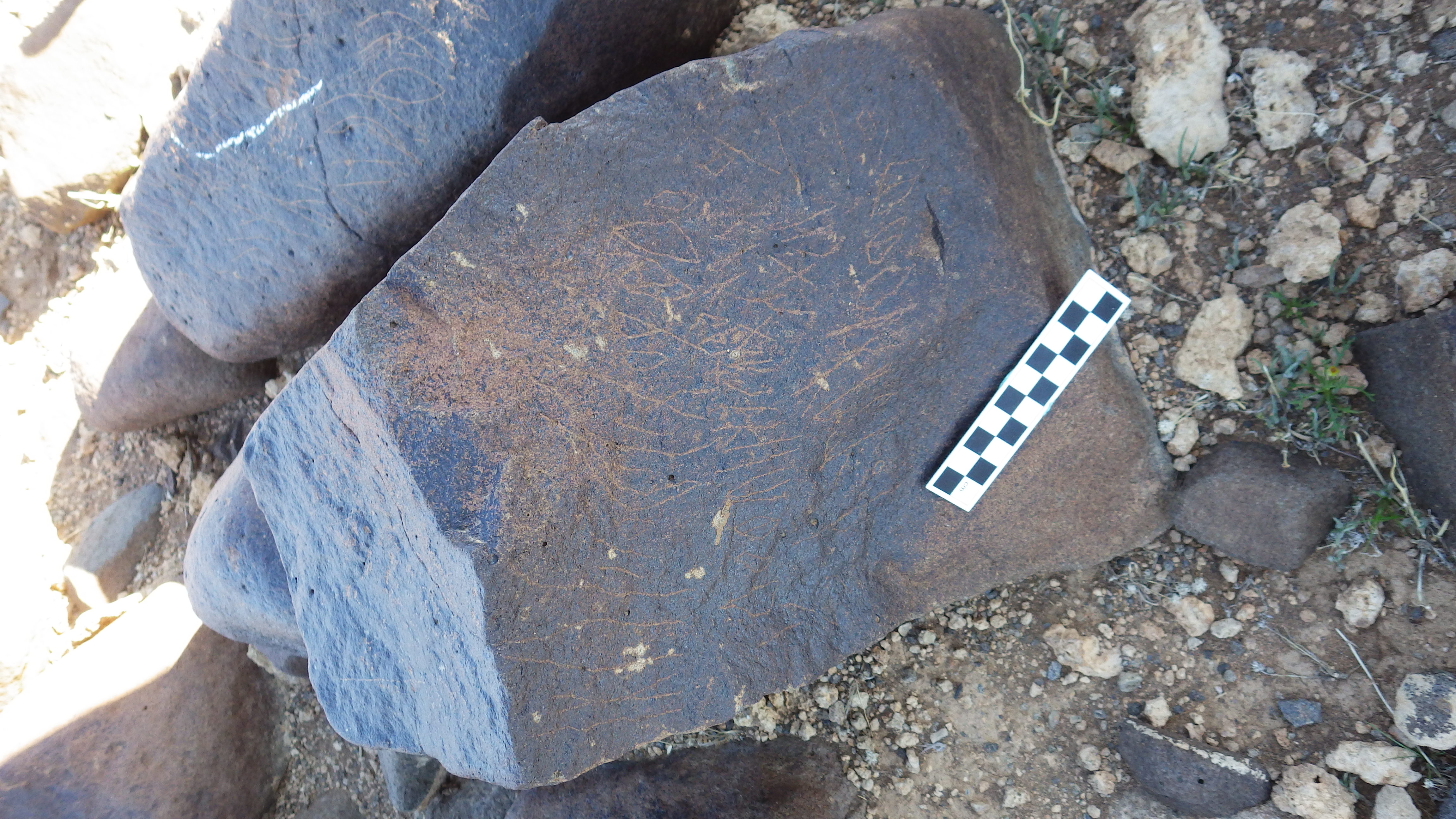 Image of siglum BES20 616