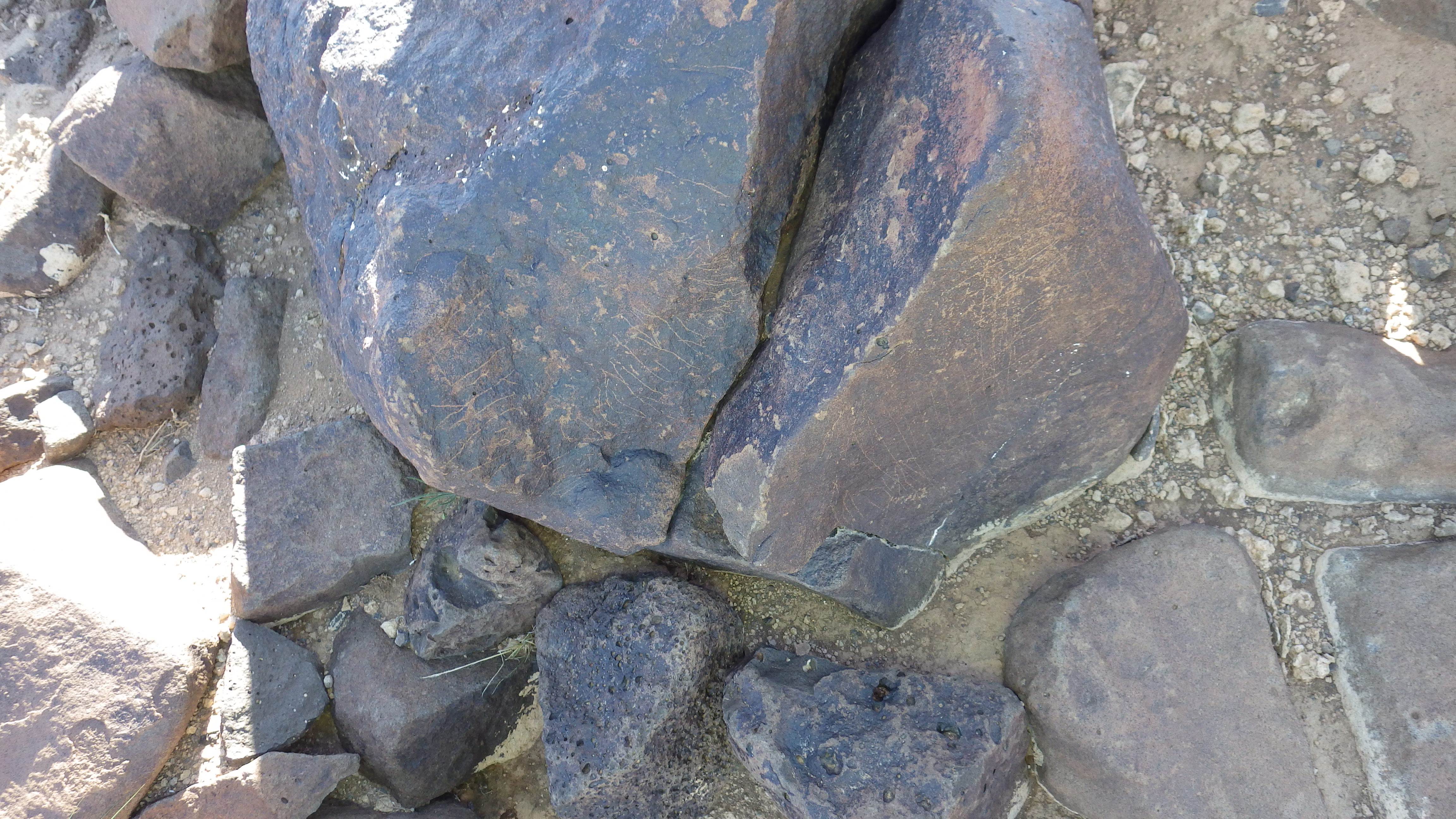 Image of siglum BES20 618