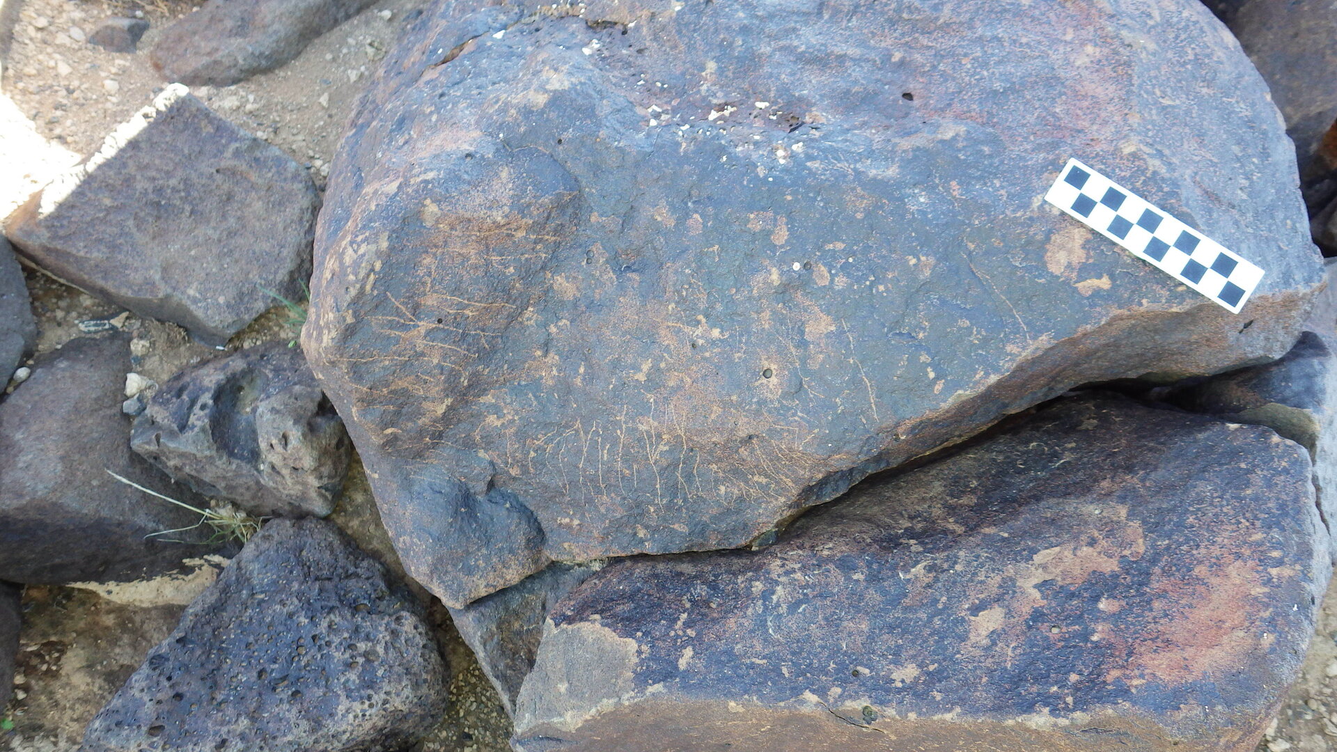 Image of siglum BES20 618