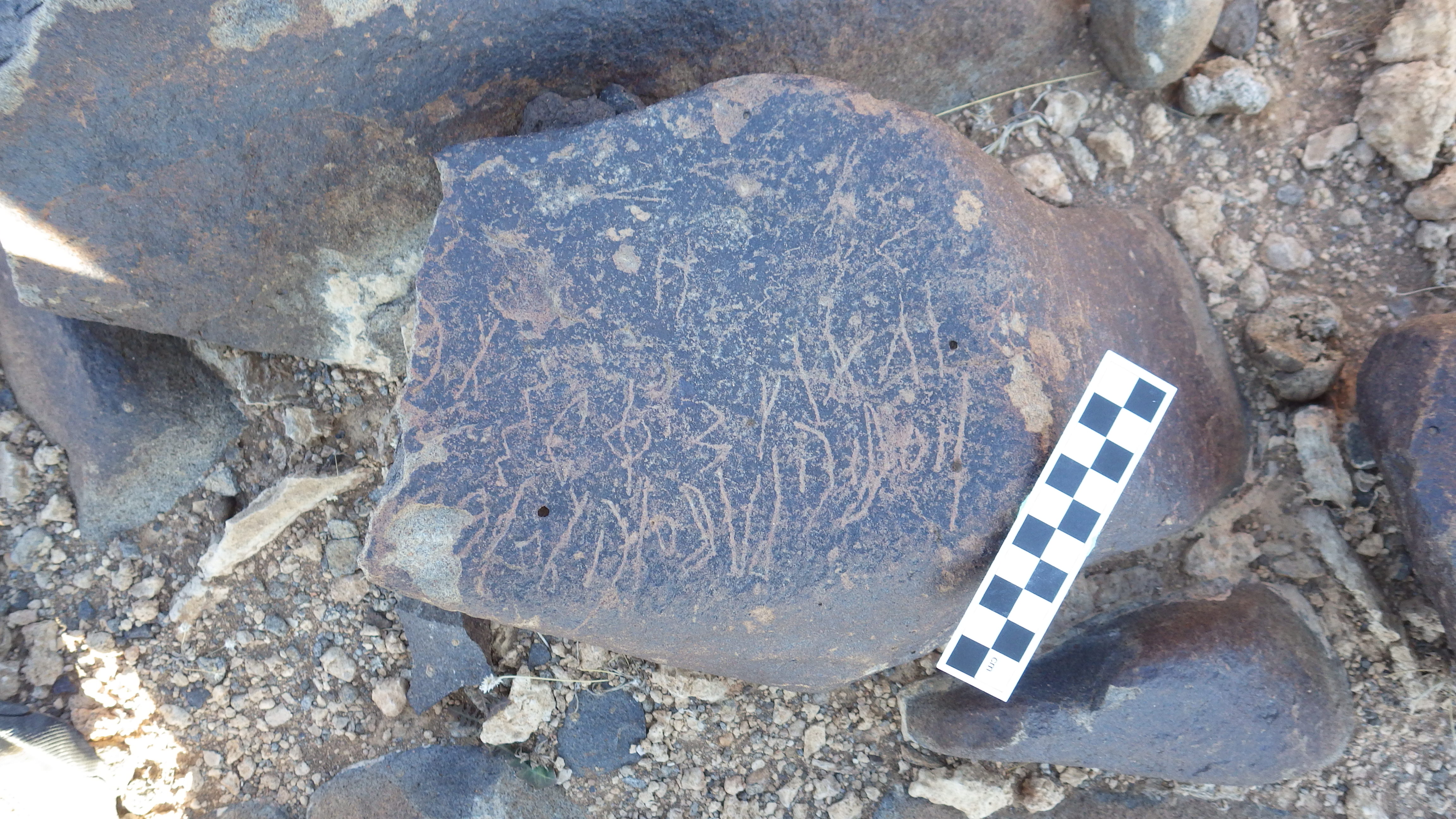 Image of siglum BES20 623