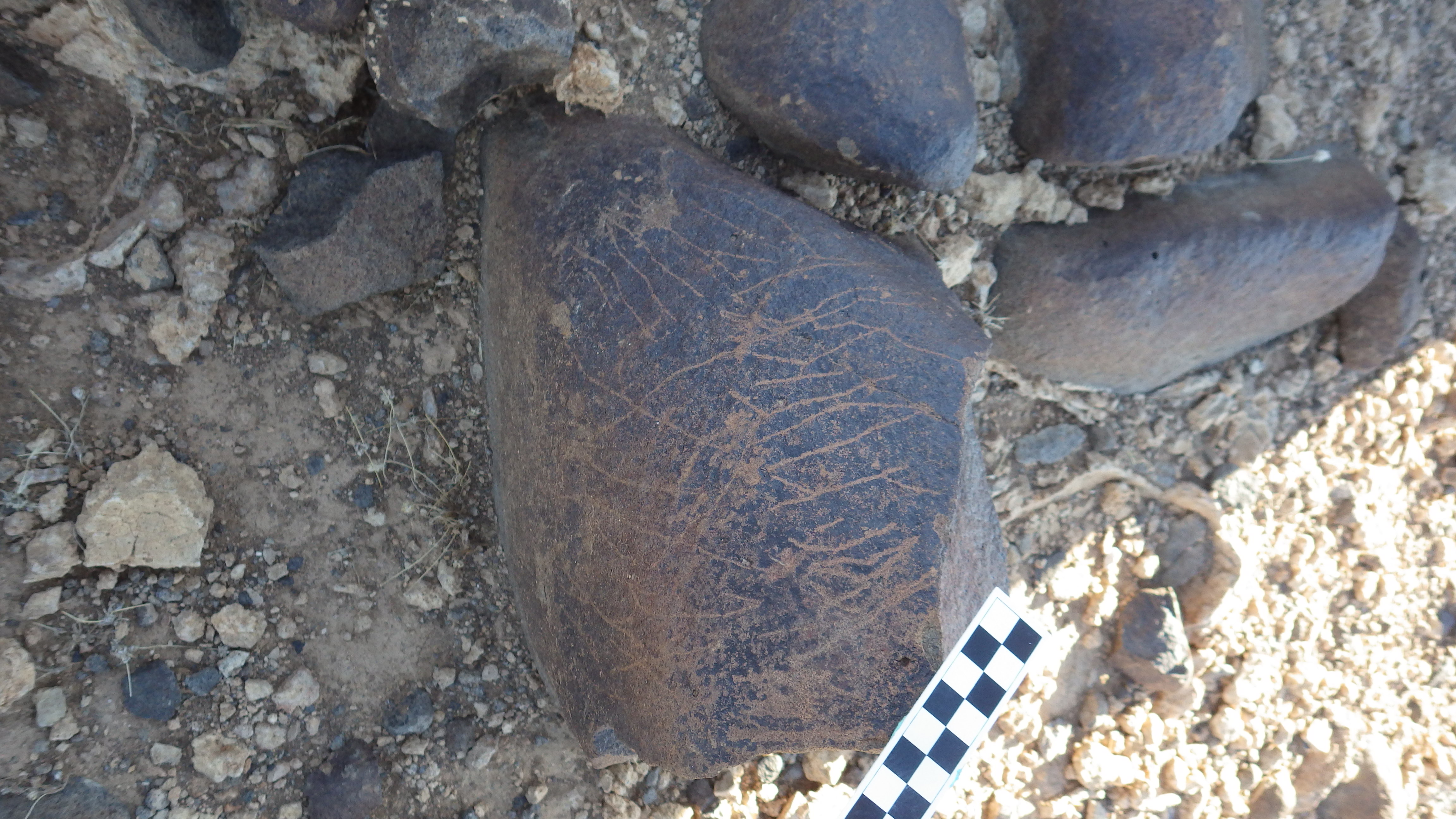 Image of siglum BES20 624