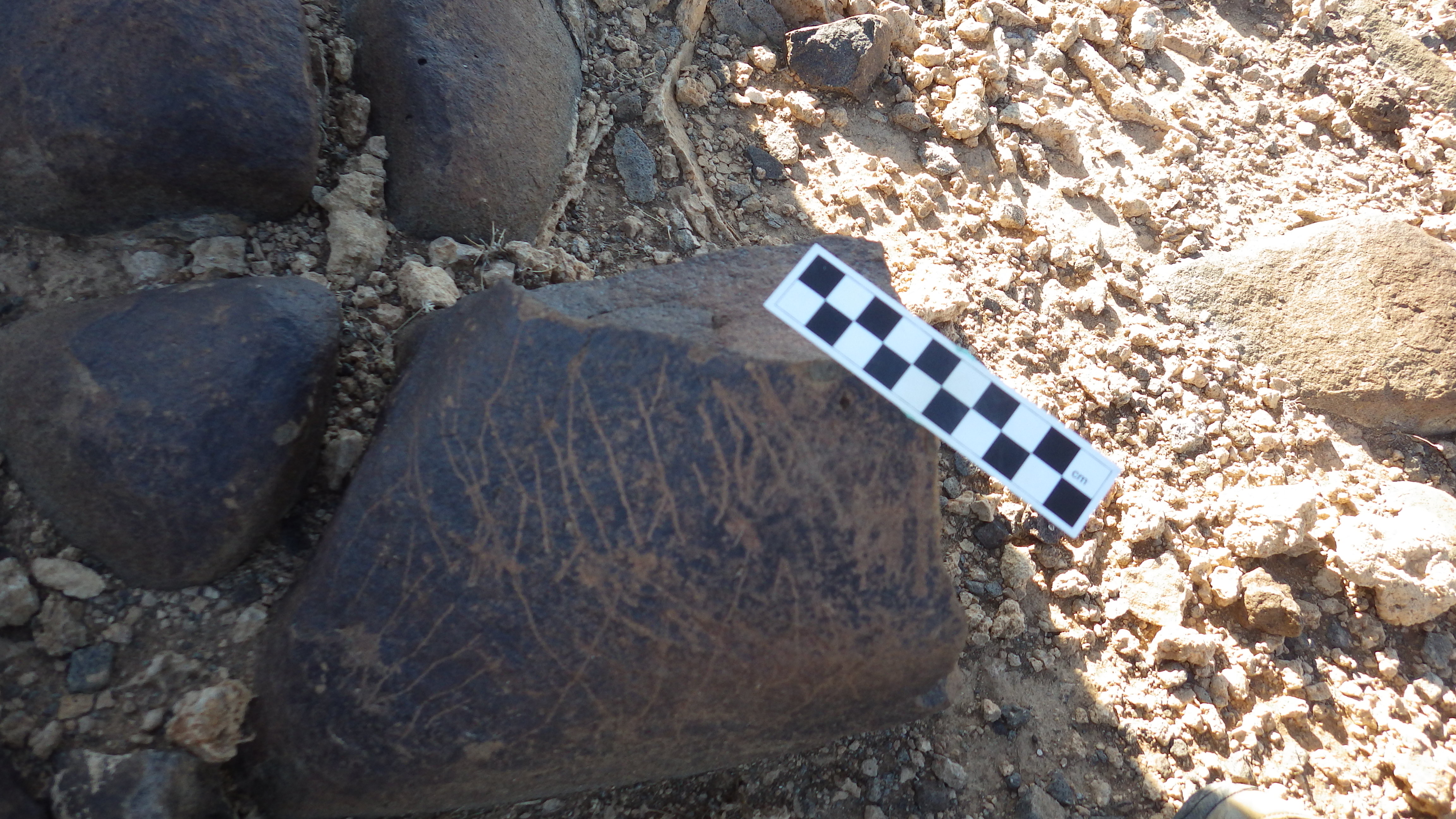 Image of siglum BES20 624