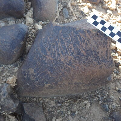 Image of siglum BES20 624