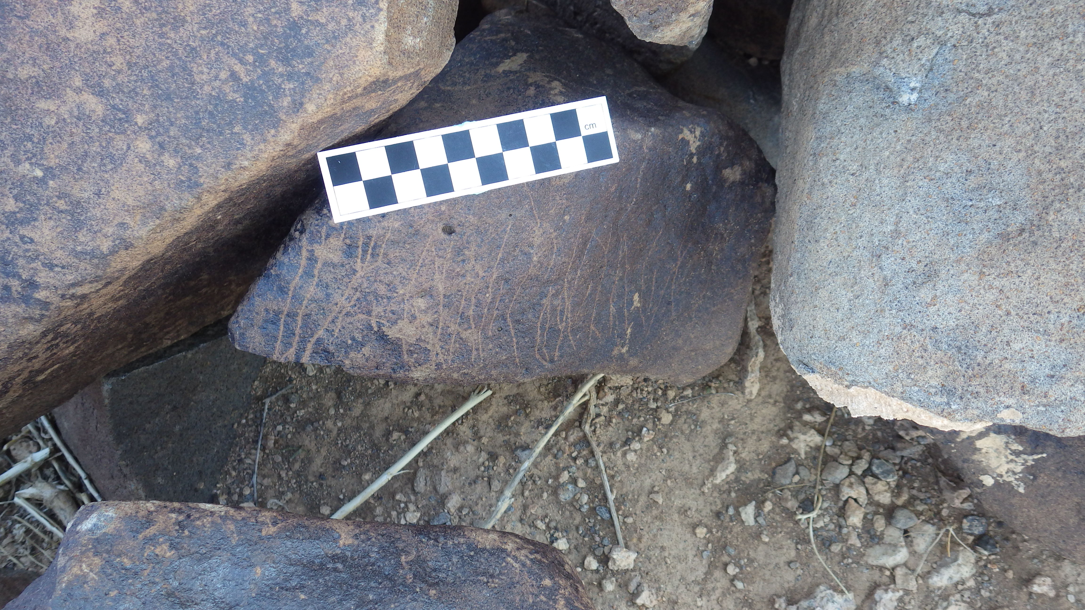 Image of siglum BES20 625