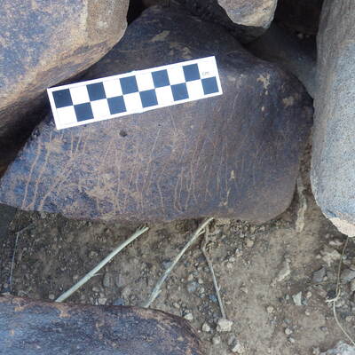 Image of siglum BES20 625