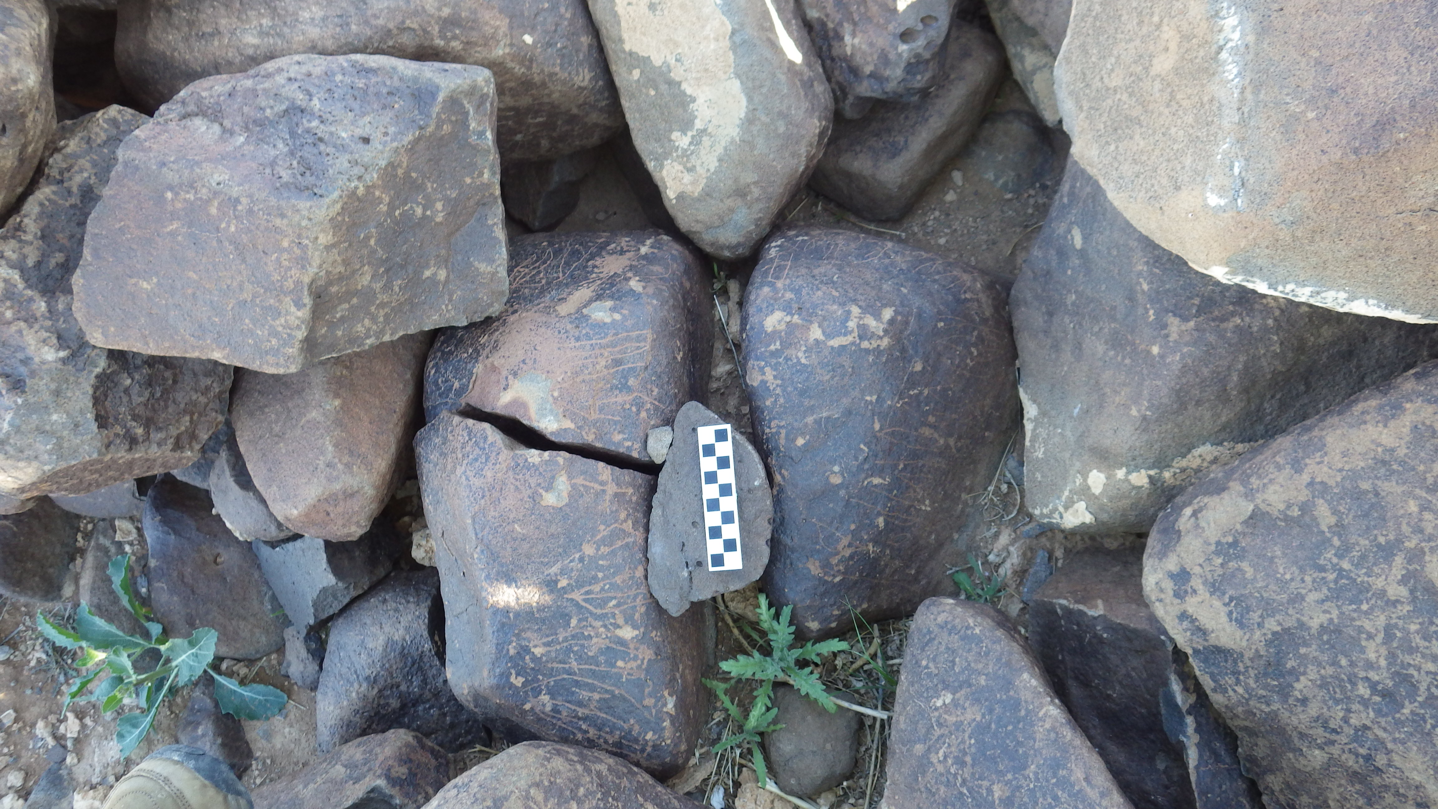 Image of siglum BES20 626